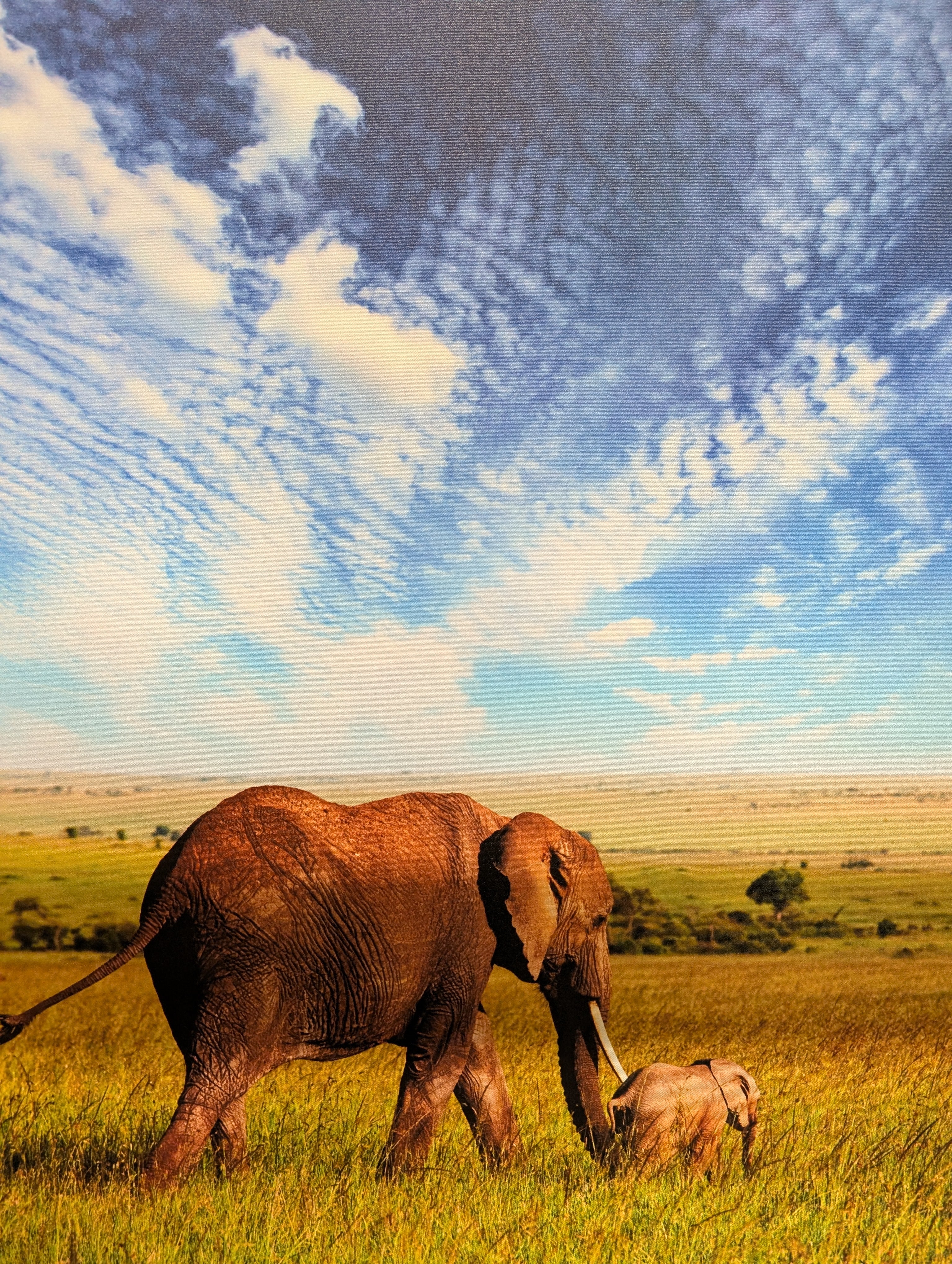 African Elephant Savanna Canvas Art | Amboseli National Park - Image 2