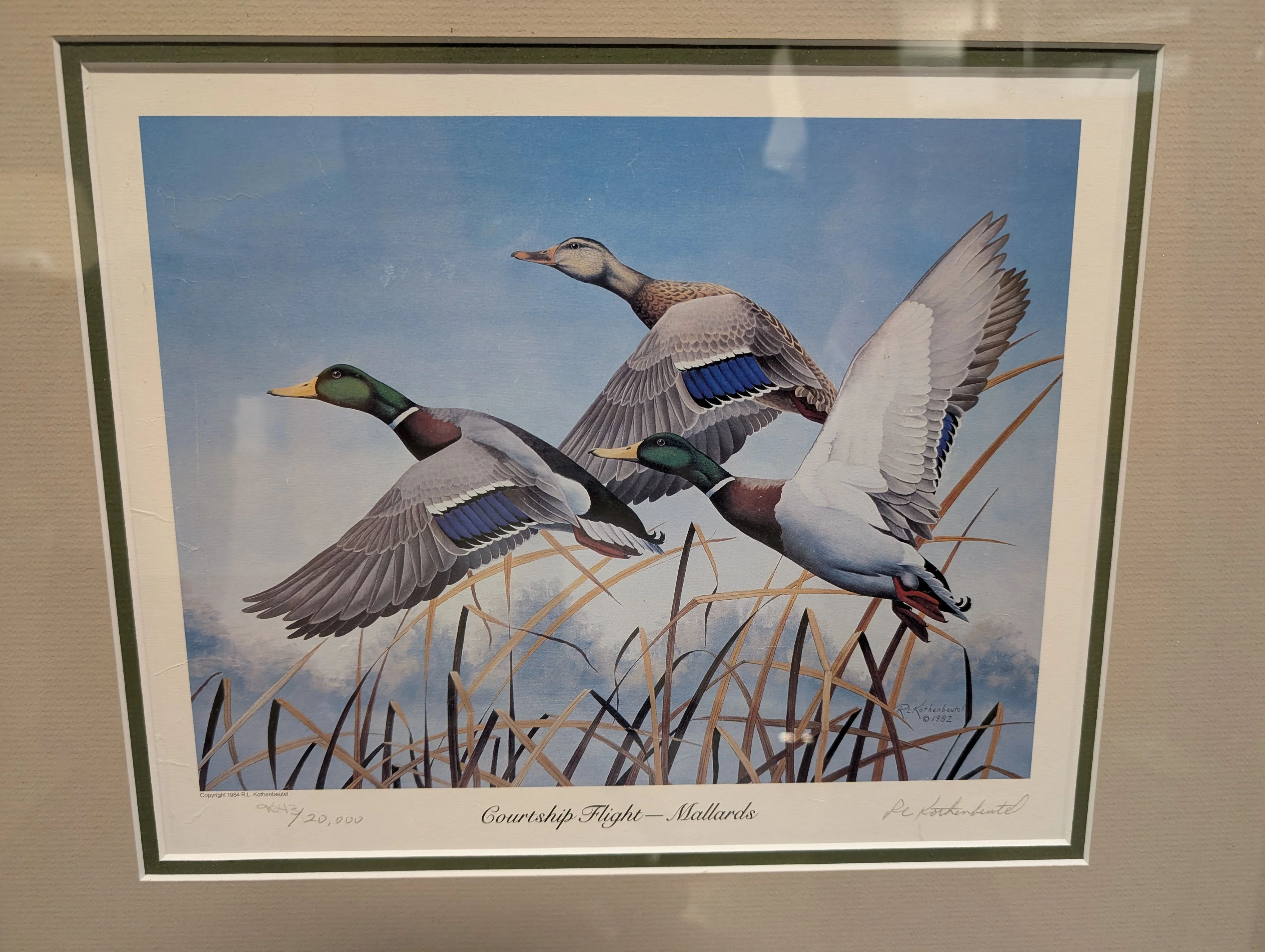Framed Mallard Ducks Print - Image 2