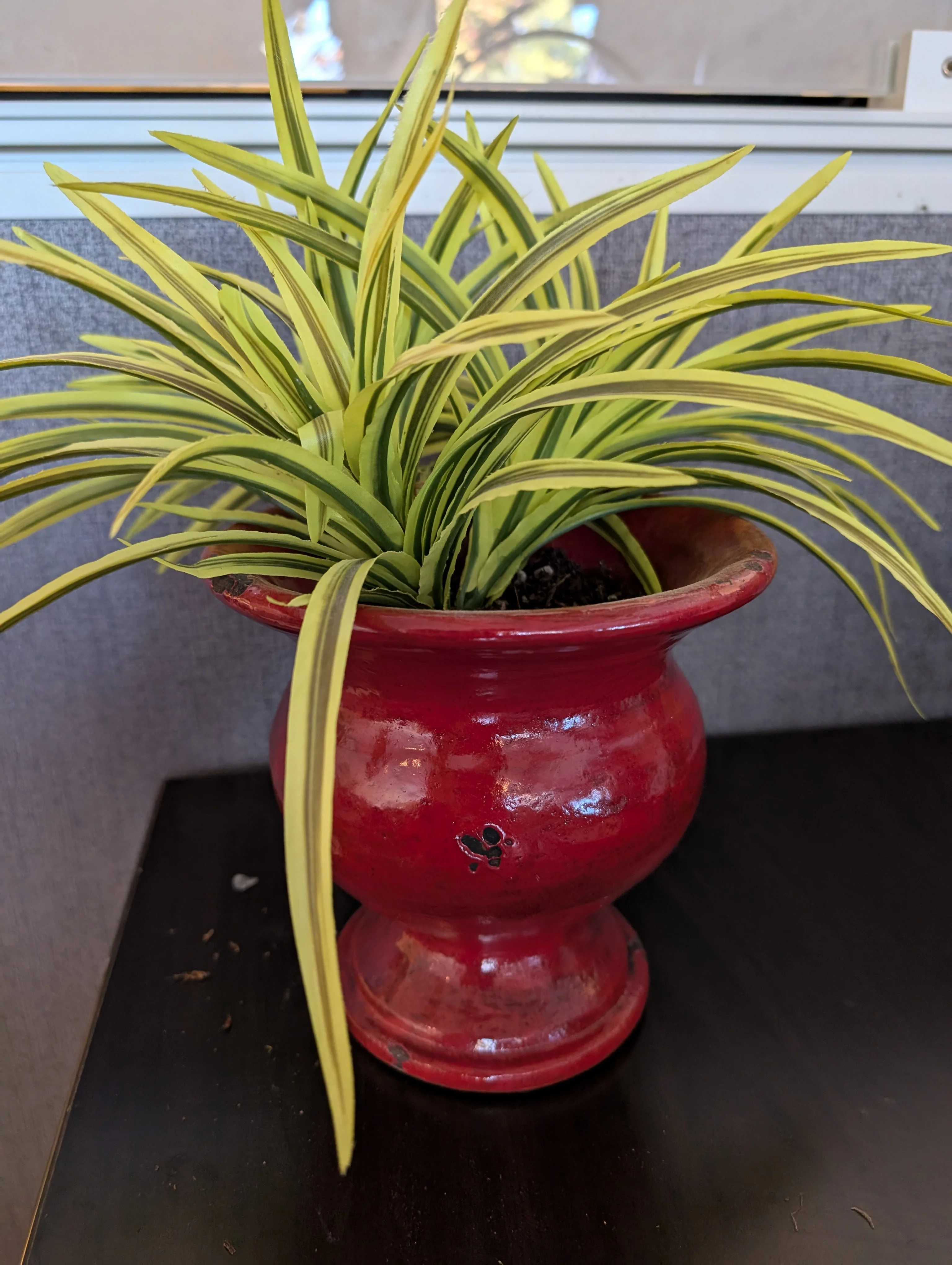Vibrant Faux Variegated Plant in Red Decorative Pot - Image 2