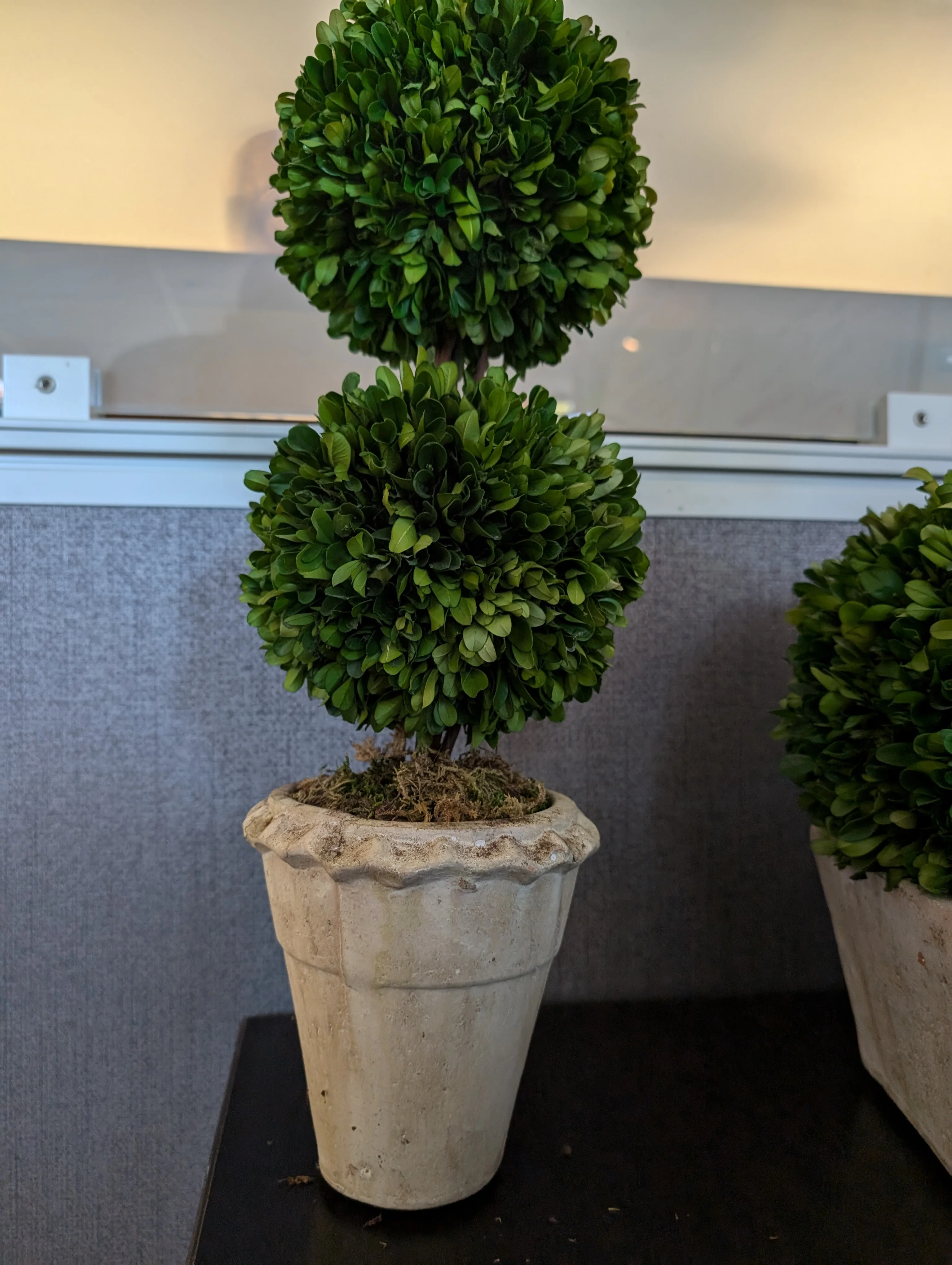Decorative Faux Boxwood Topiary Plant - Image 2