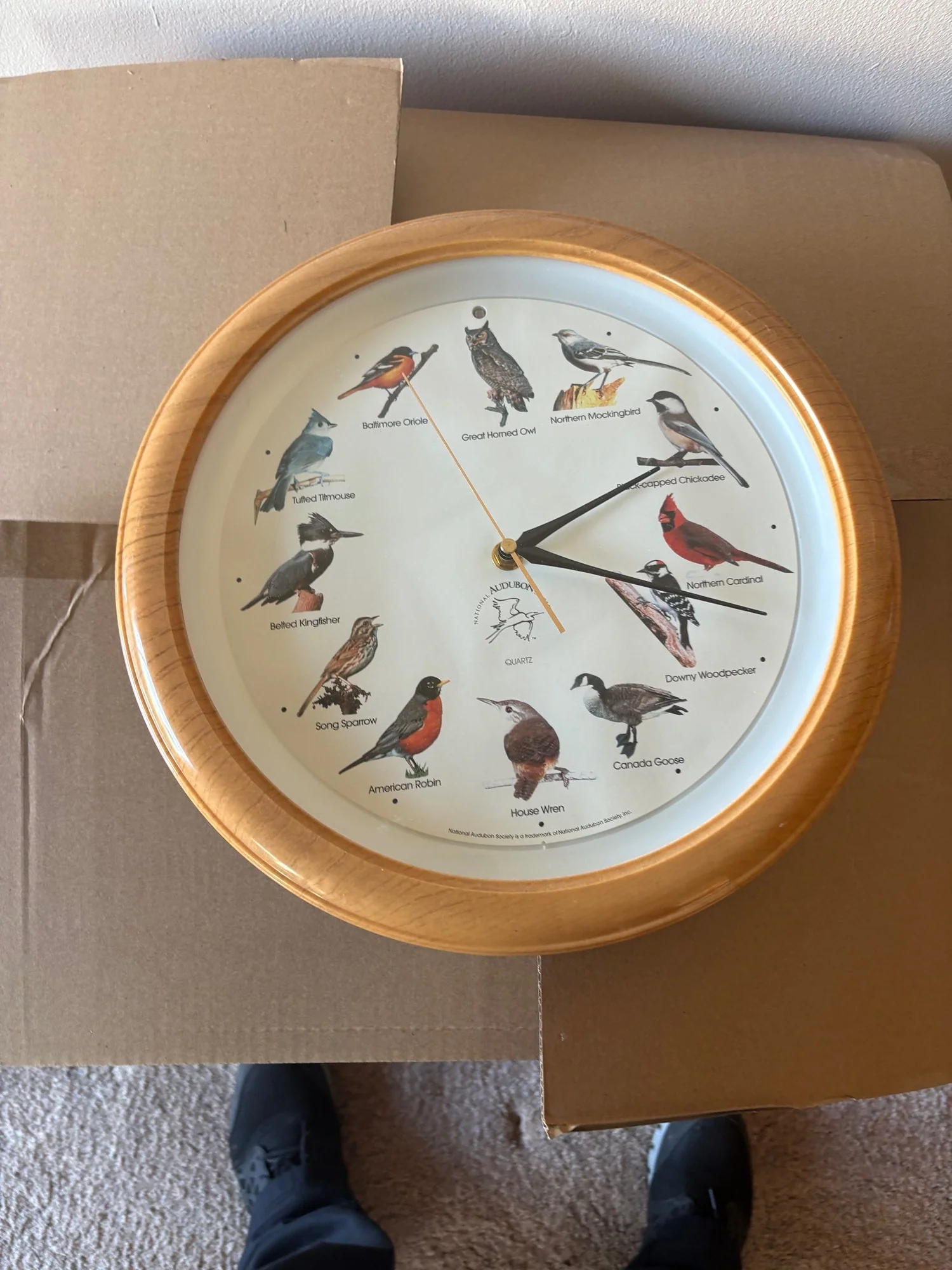 Audubon Society Bird Species Wood-Grain Quartz Wall Clock - Image 3