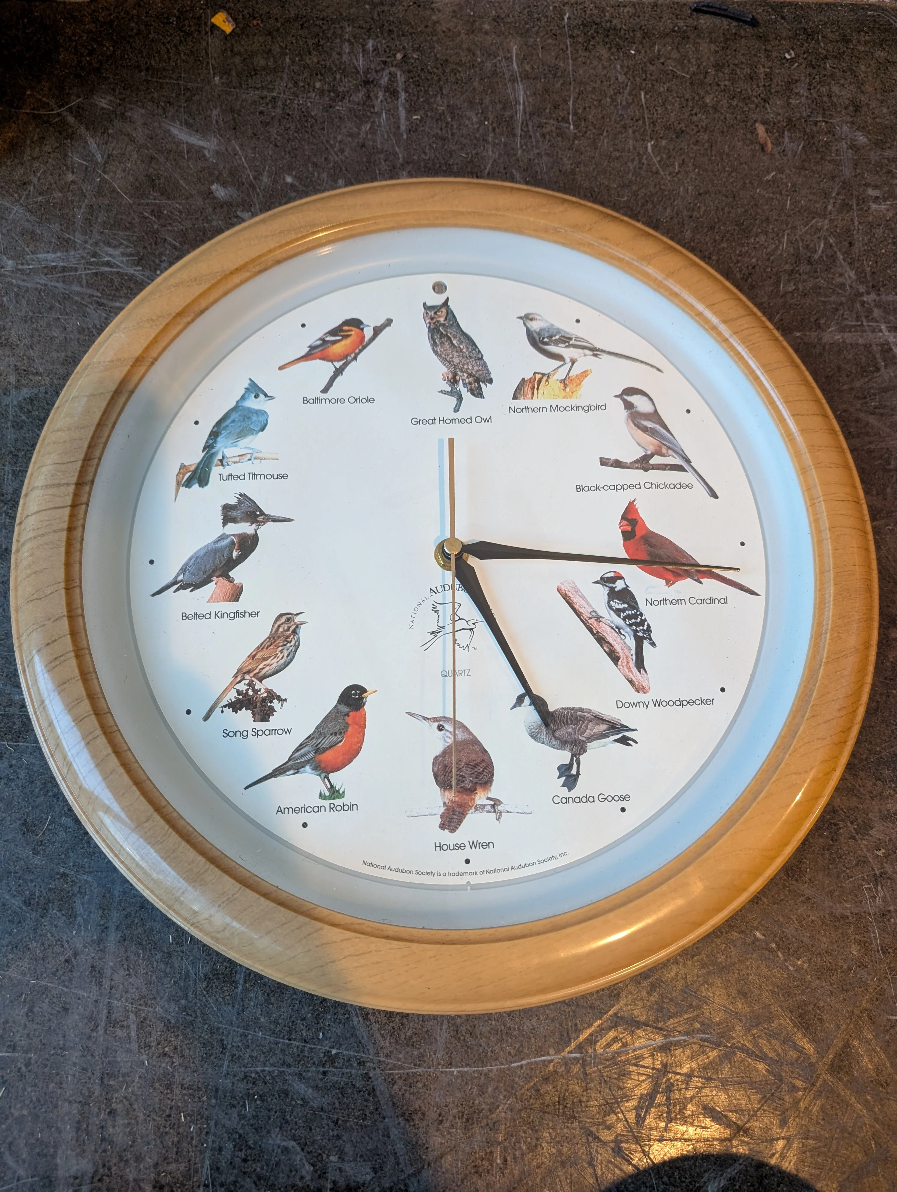 Audubon Society Bird Species Wood-Grain Quartz Wall Clock - Image 4