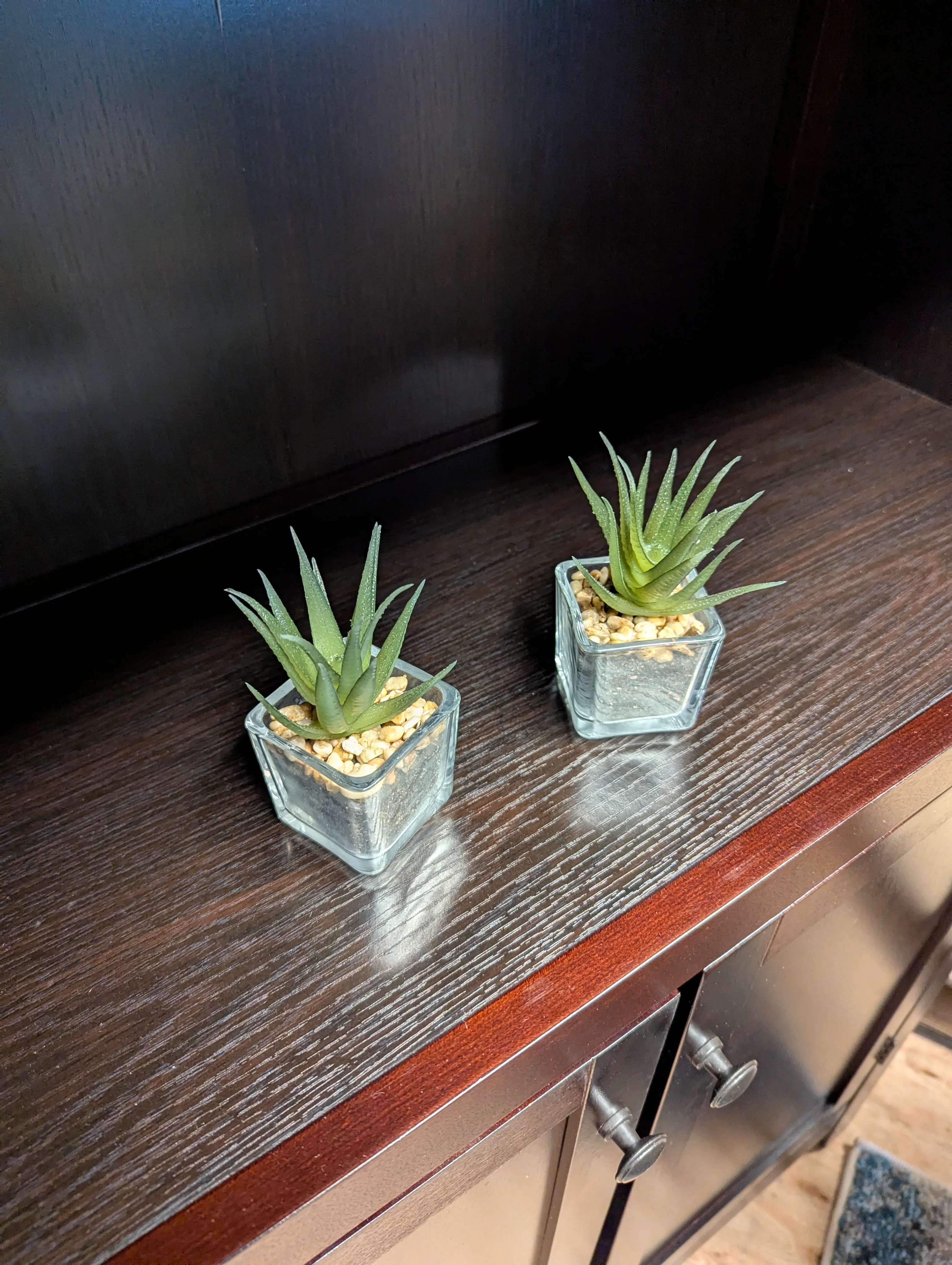 Artificial Succulent Plant in Square Glass Pots - Image 2