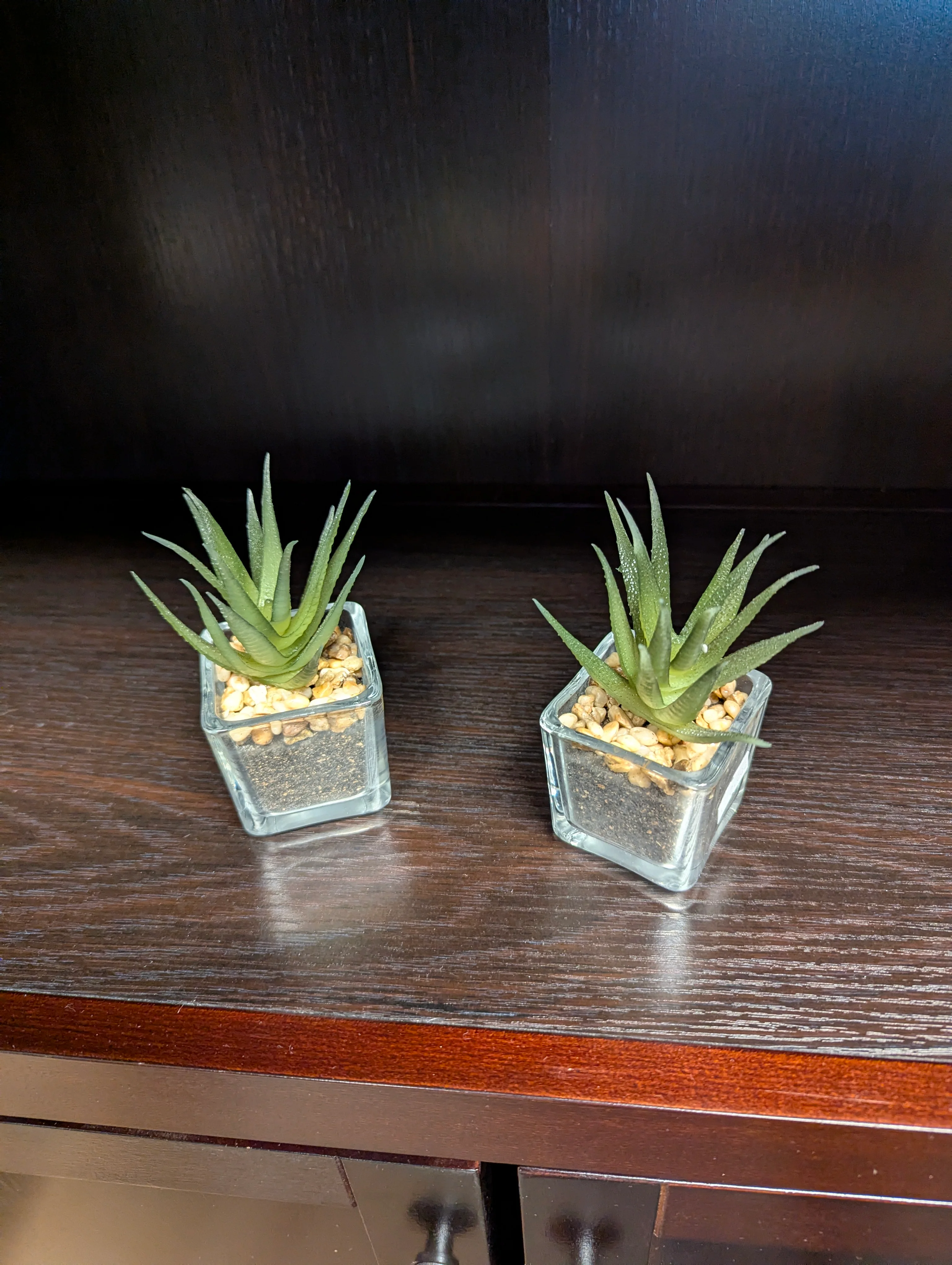 Artificial Succulent Plant in Square Glass Pots - Image 3