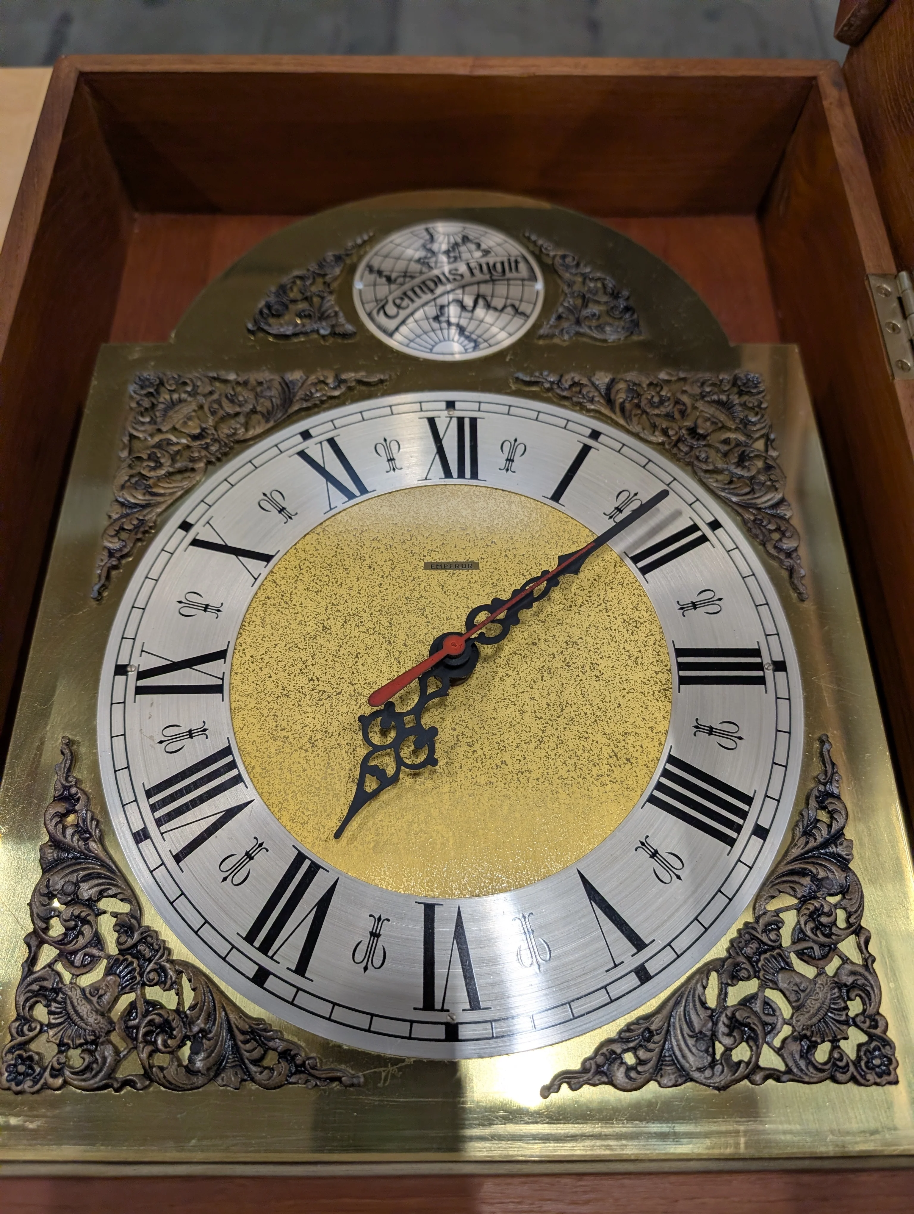 Vintage Temus Fugit Wall Clock with Pendulum and Roman Numerals - Image 2