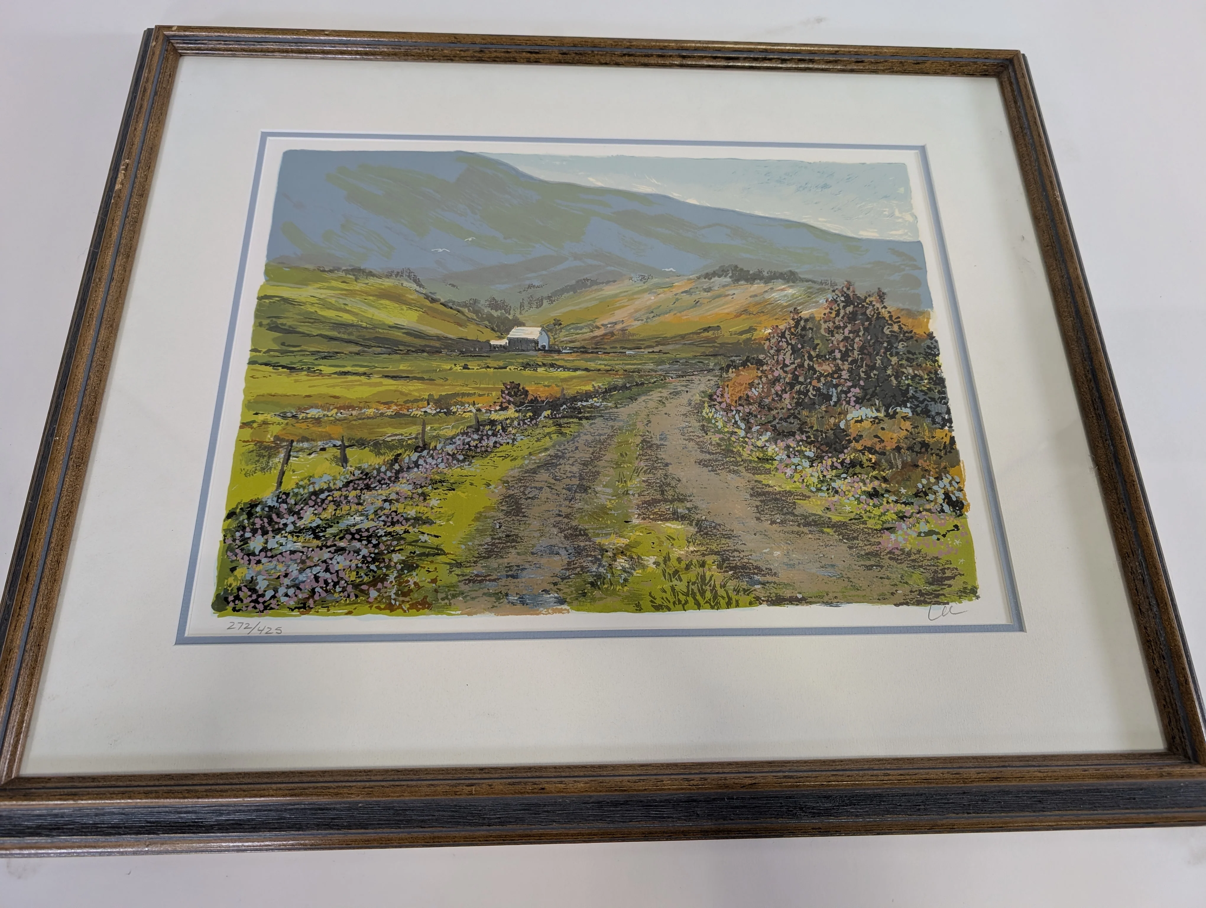 In Full Bloom Framed Print - Image 2
