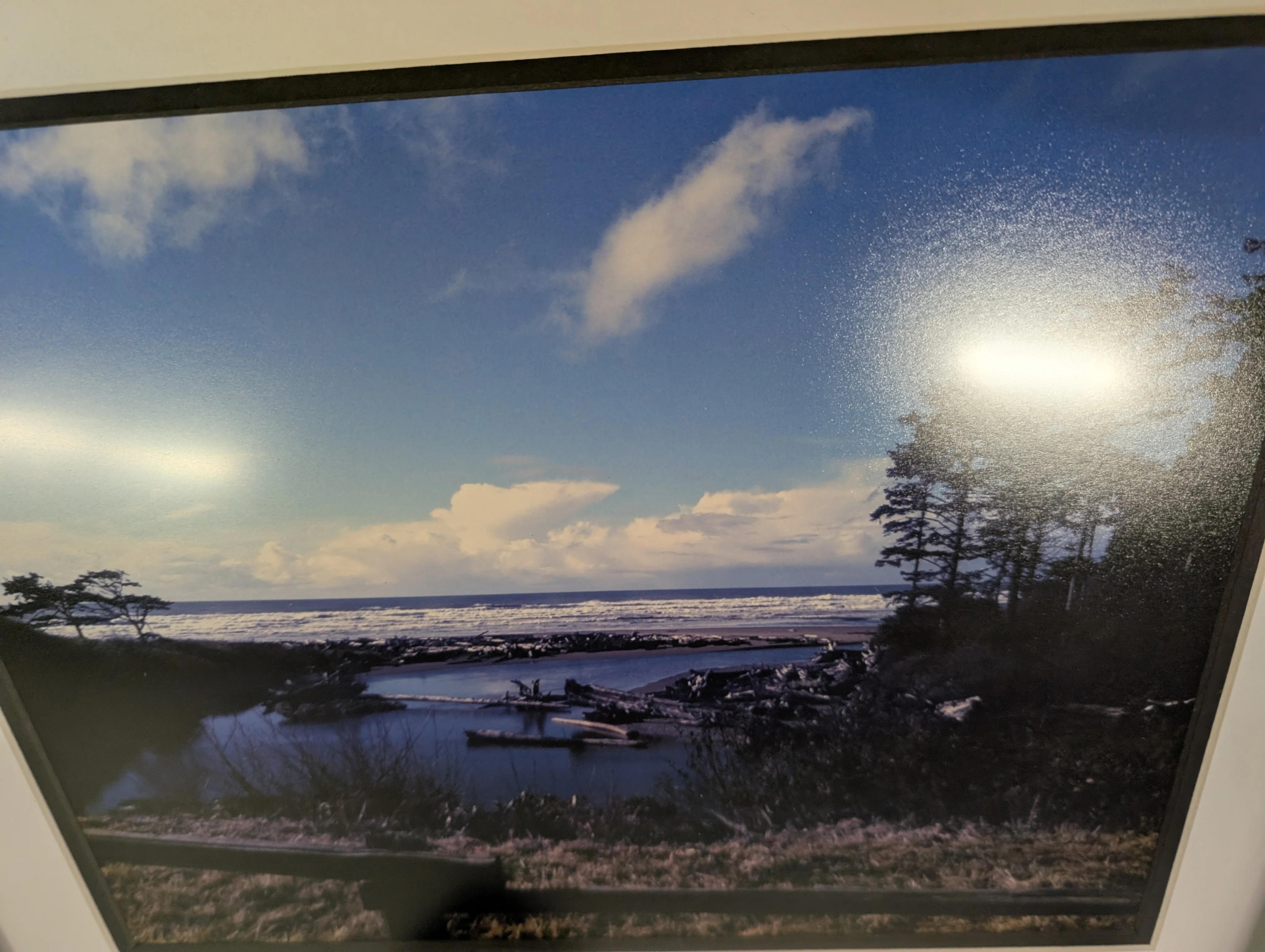 Sleek Black Picture Framed Beach Photo - Image 6