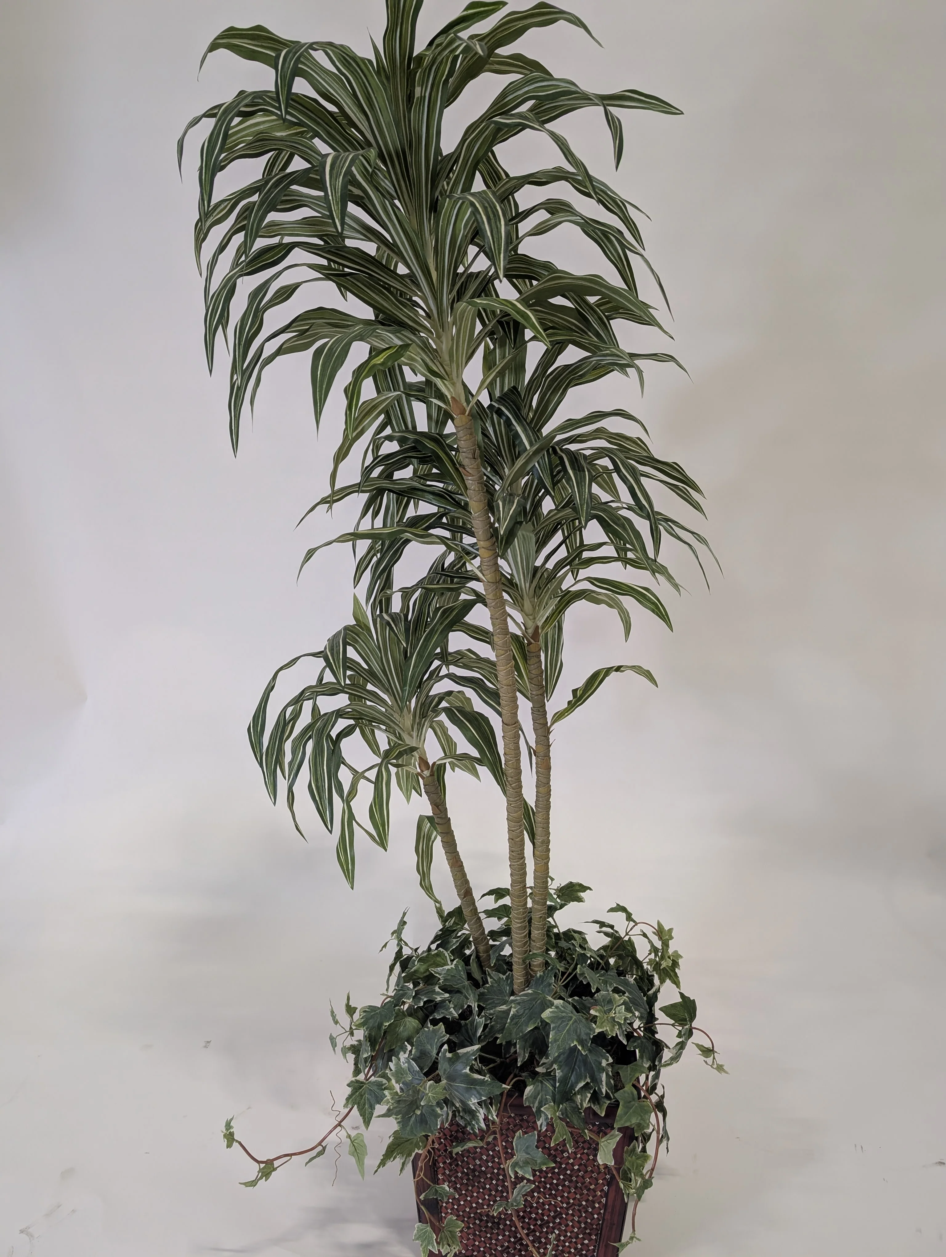 Tall Faux Dracaena Plant in Decorative Woven Basket