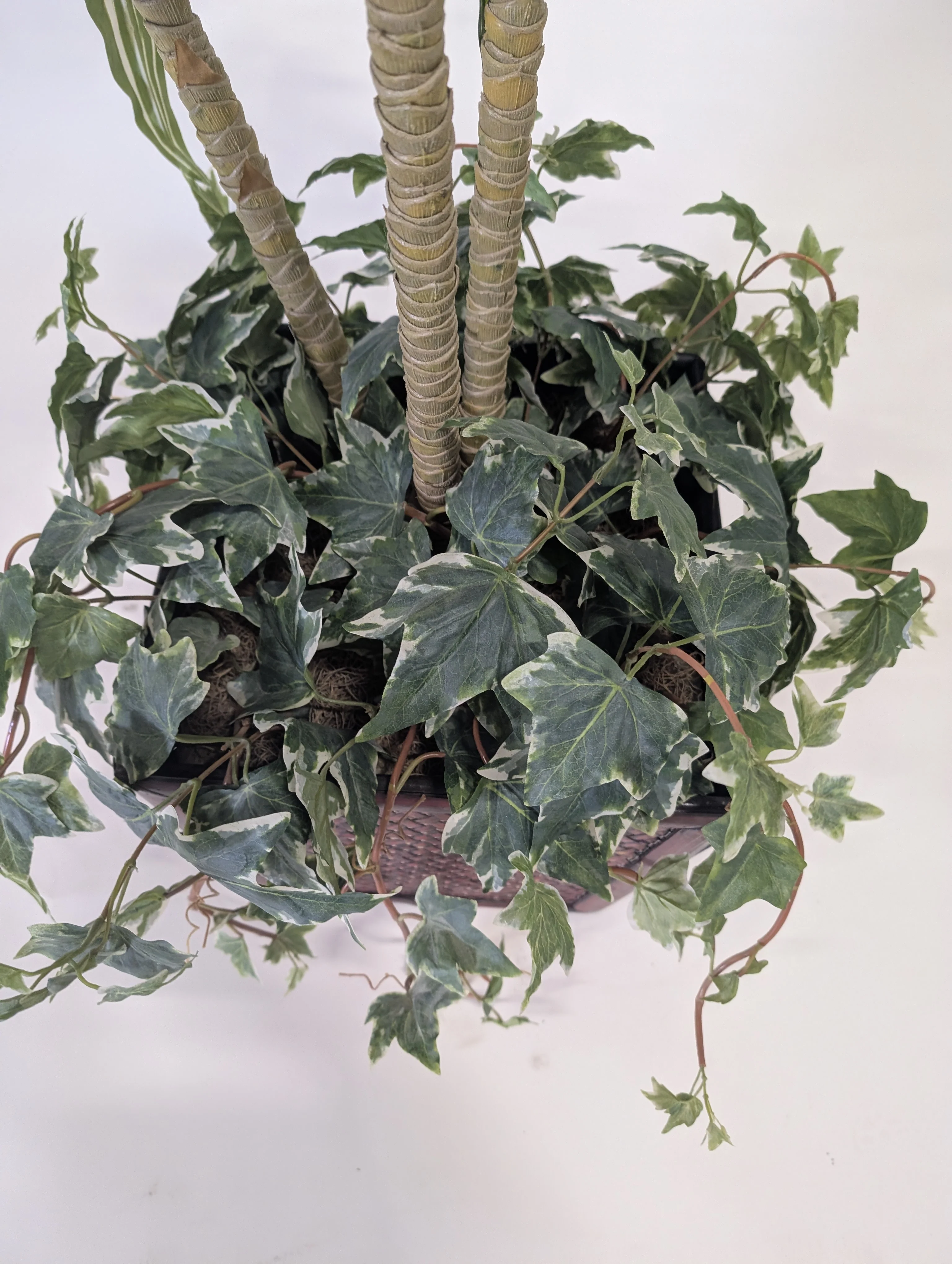 Tall Faux Dracaena Plant in Decorative Woven Basket - Image 3