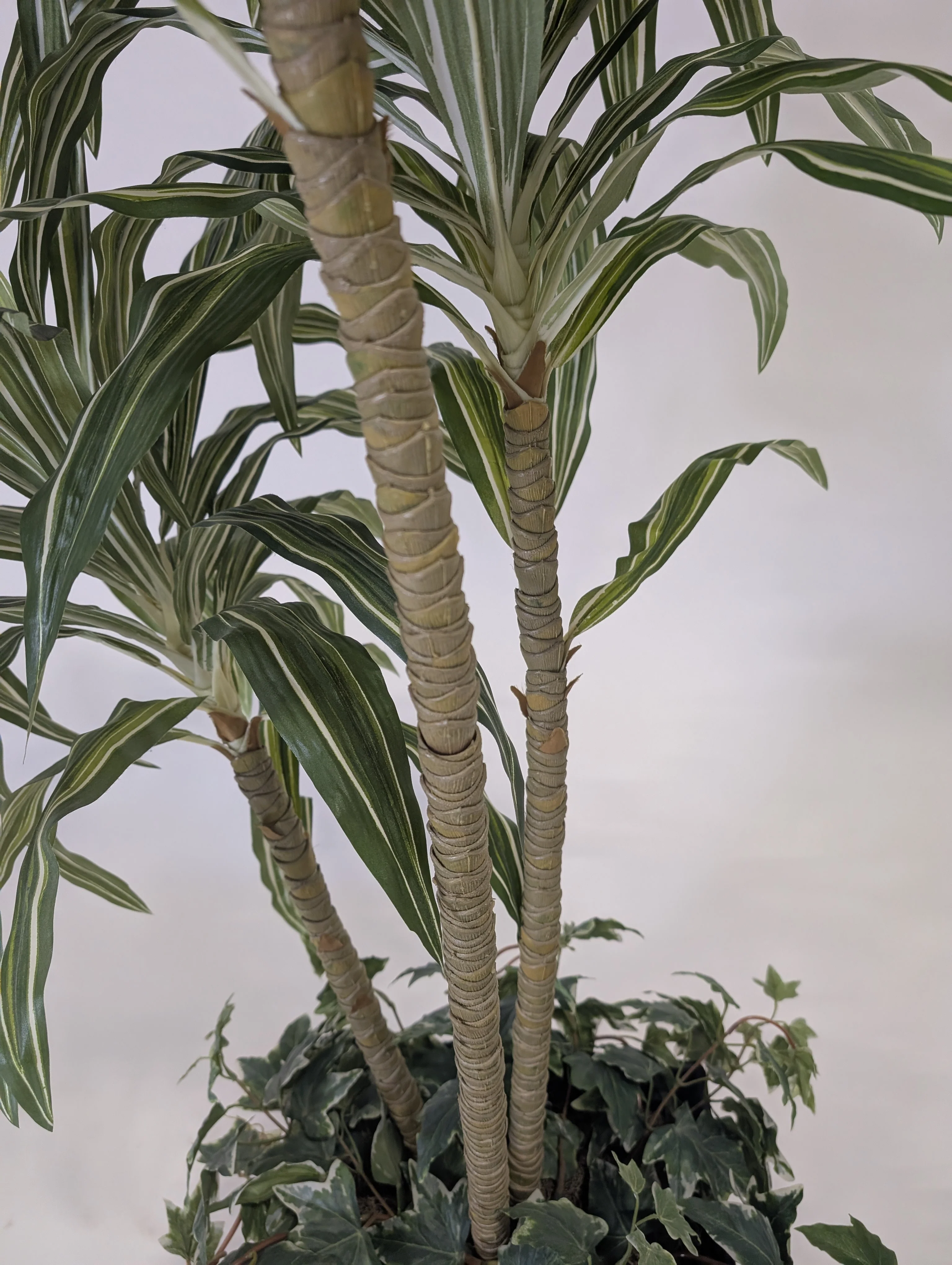 Tall Faux Dracaena Plant in Decorative Woven Basket - Image 4
