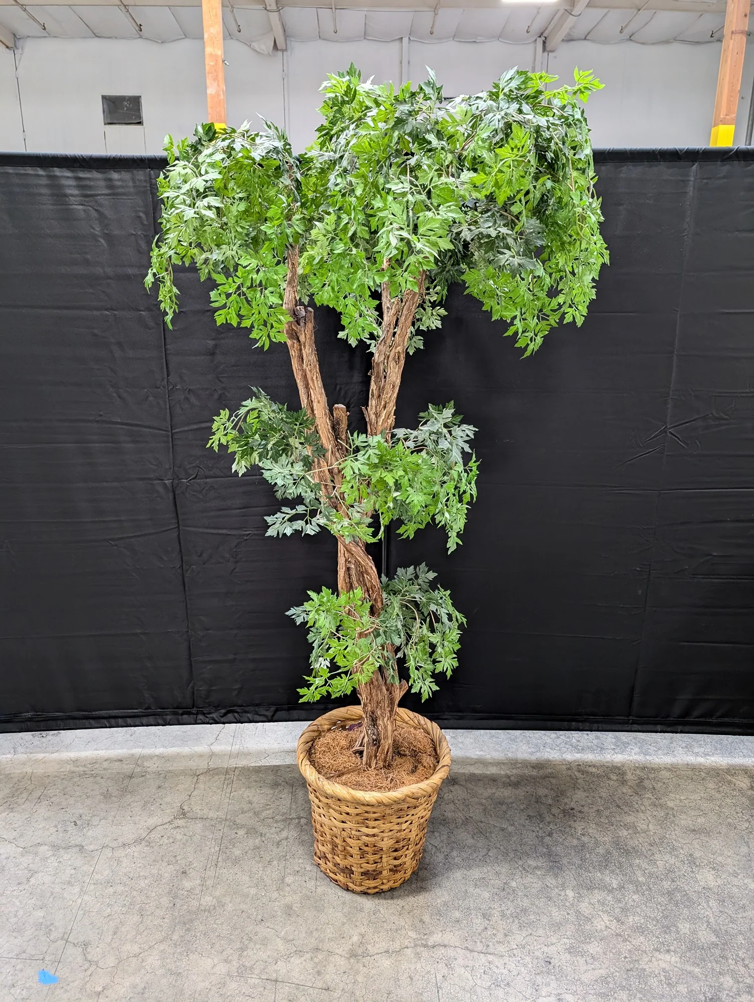 Tall Artificial Green Plant in Woven Basket Planter - Image 3