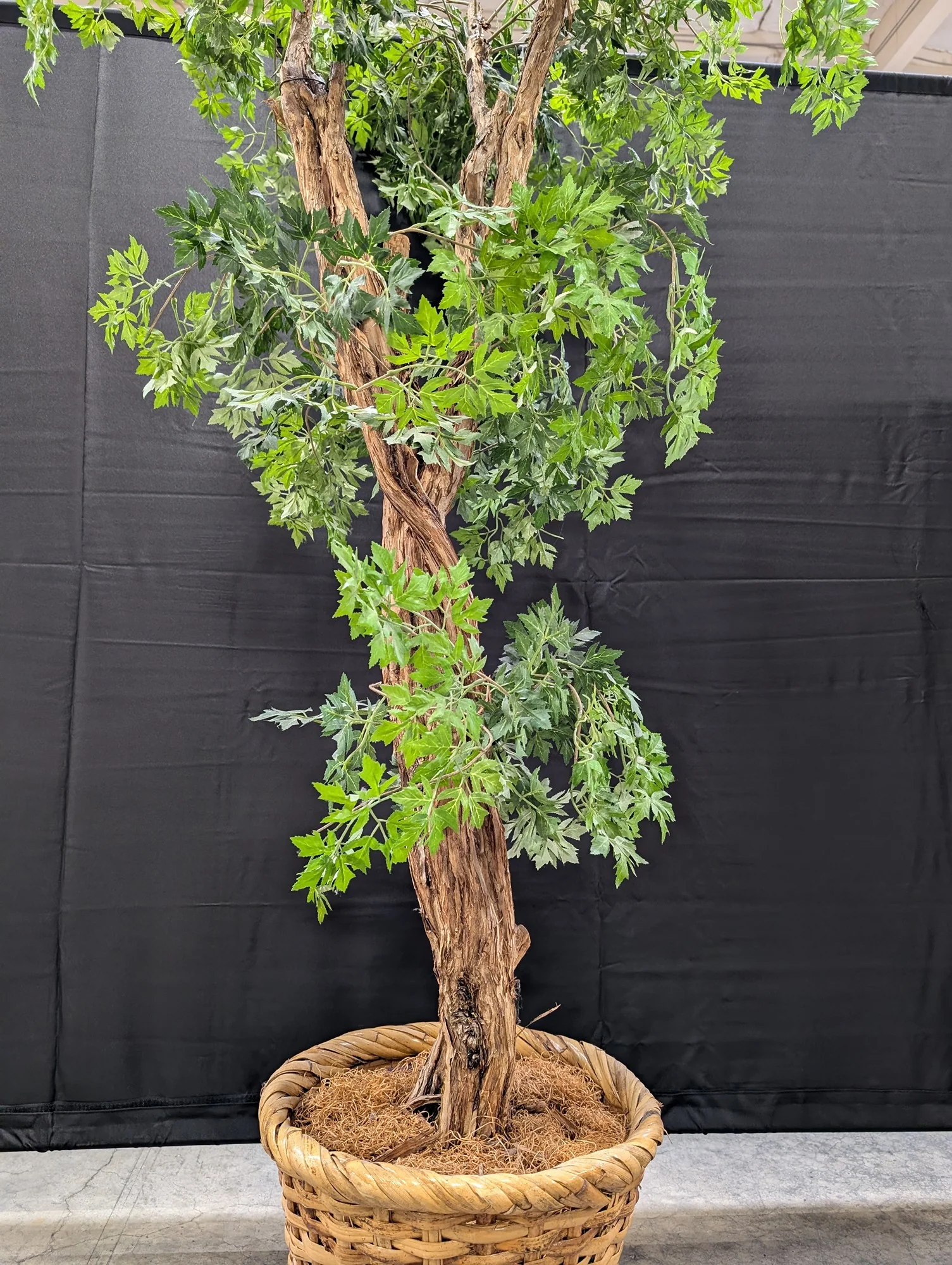 Tall Artificial Green Plant in Woven Basket Planter - Image 4