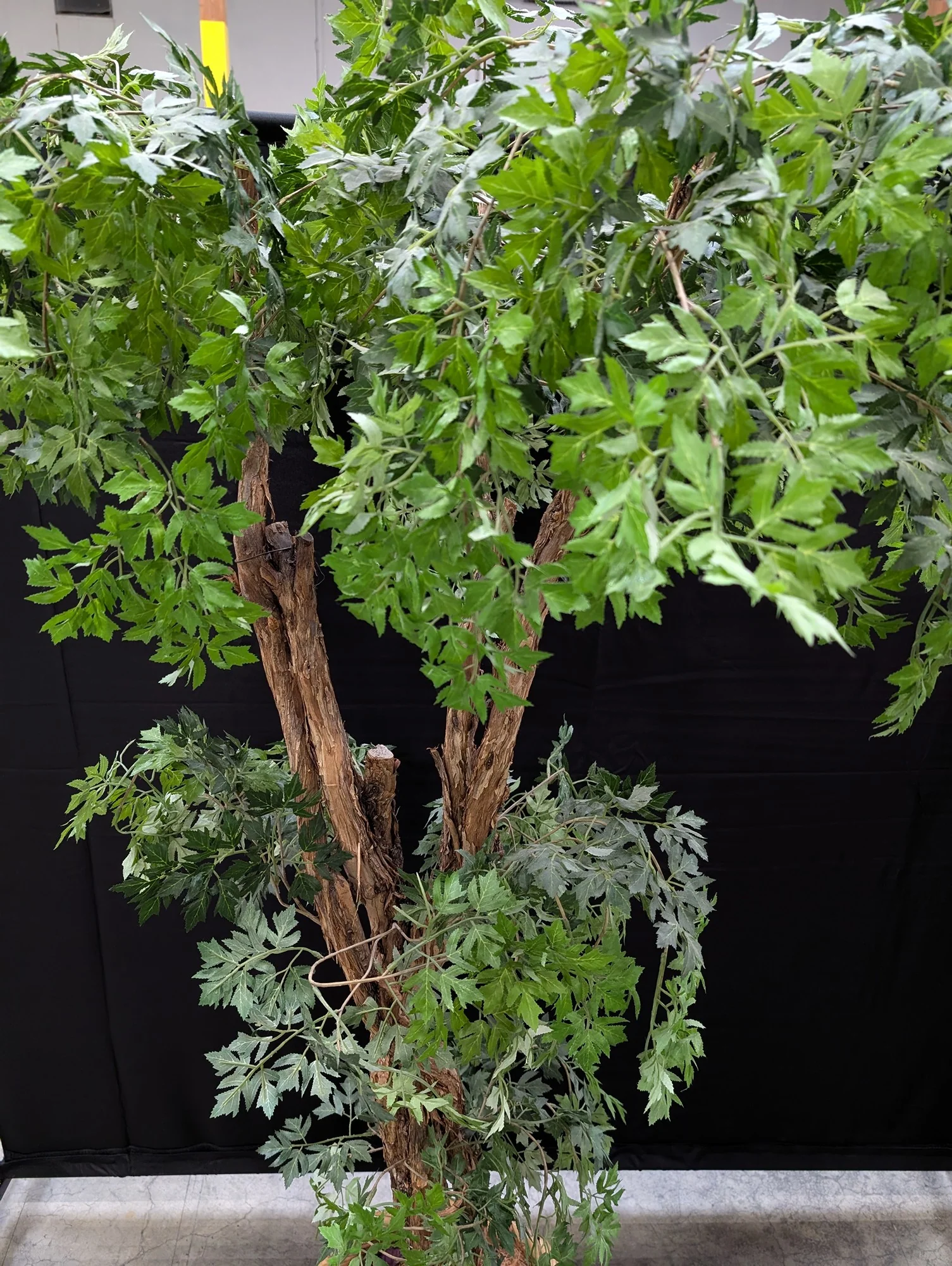 Tall Artificial Green Plant in Woven Basket Planter - Image 5