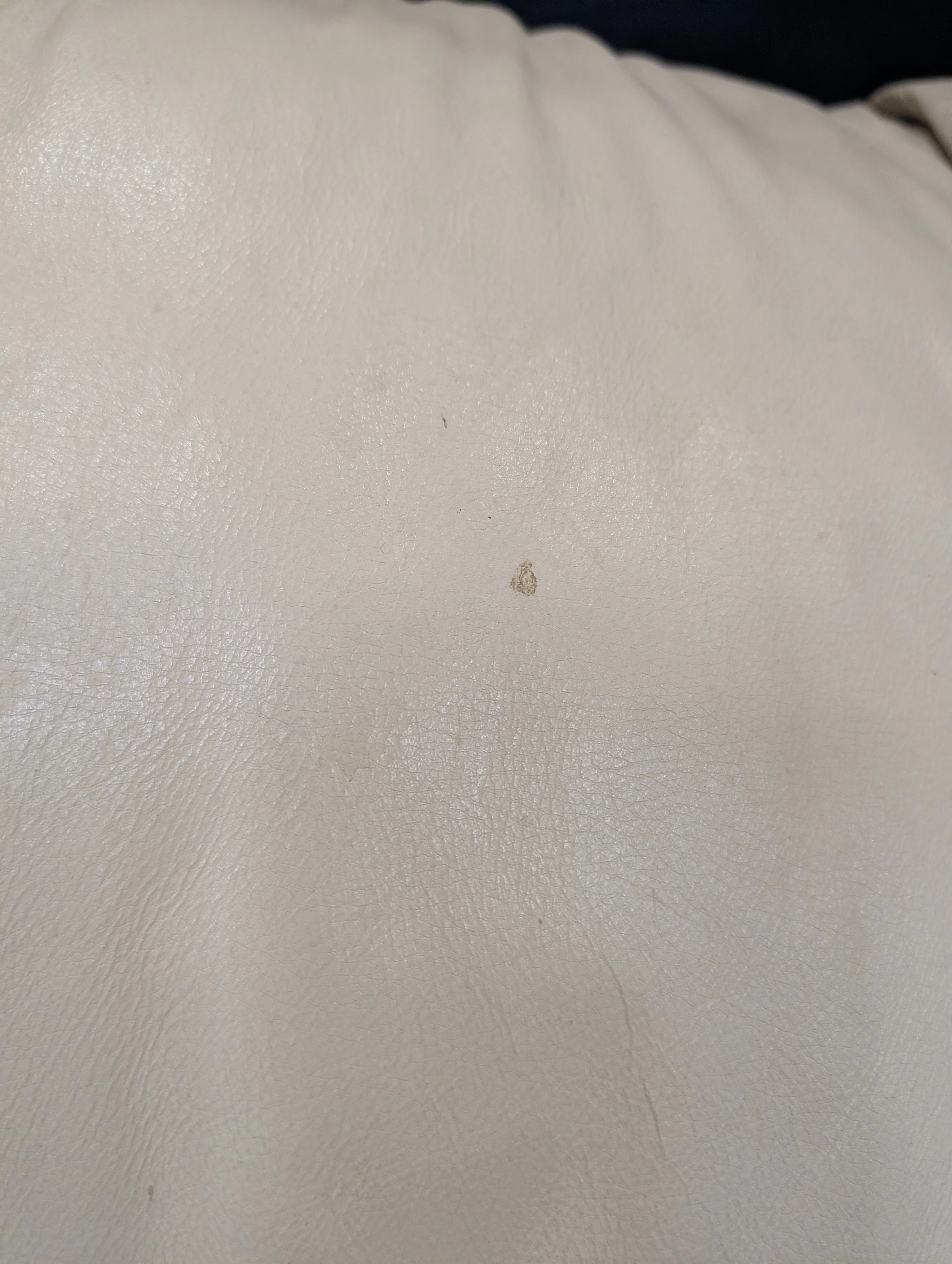 Emerson Leather Cream Sofa - Image 3