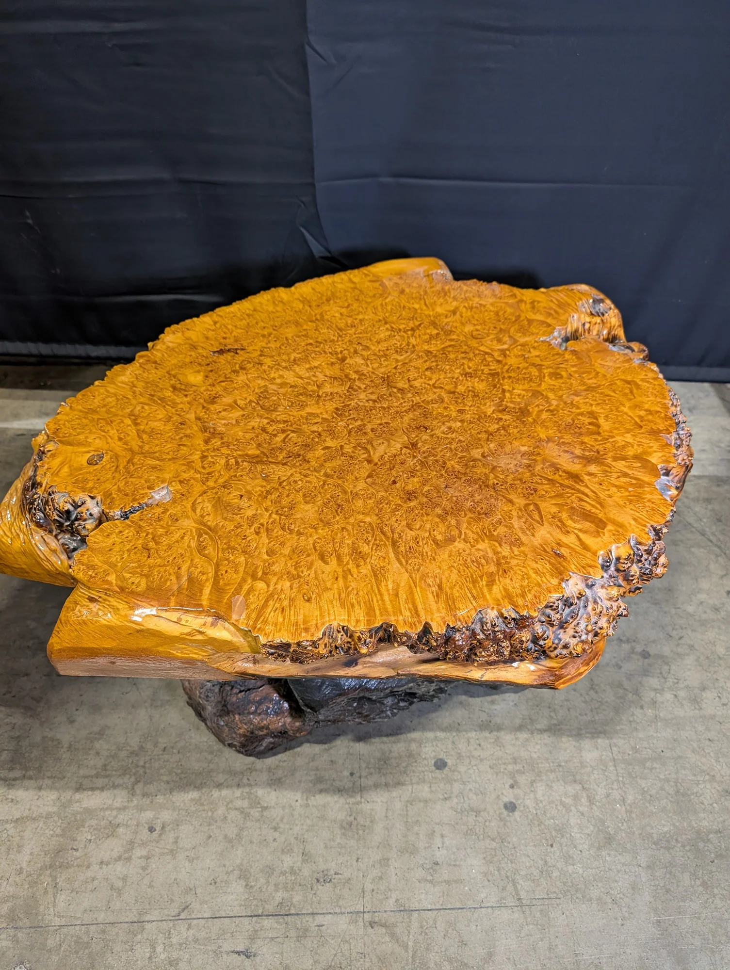 Rustic Live Edge Burl Wood Slab Coffee Table - Image 2