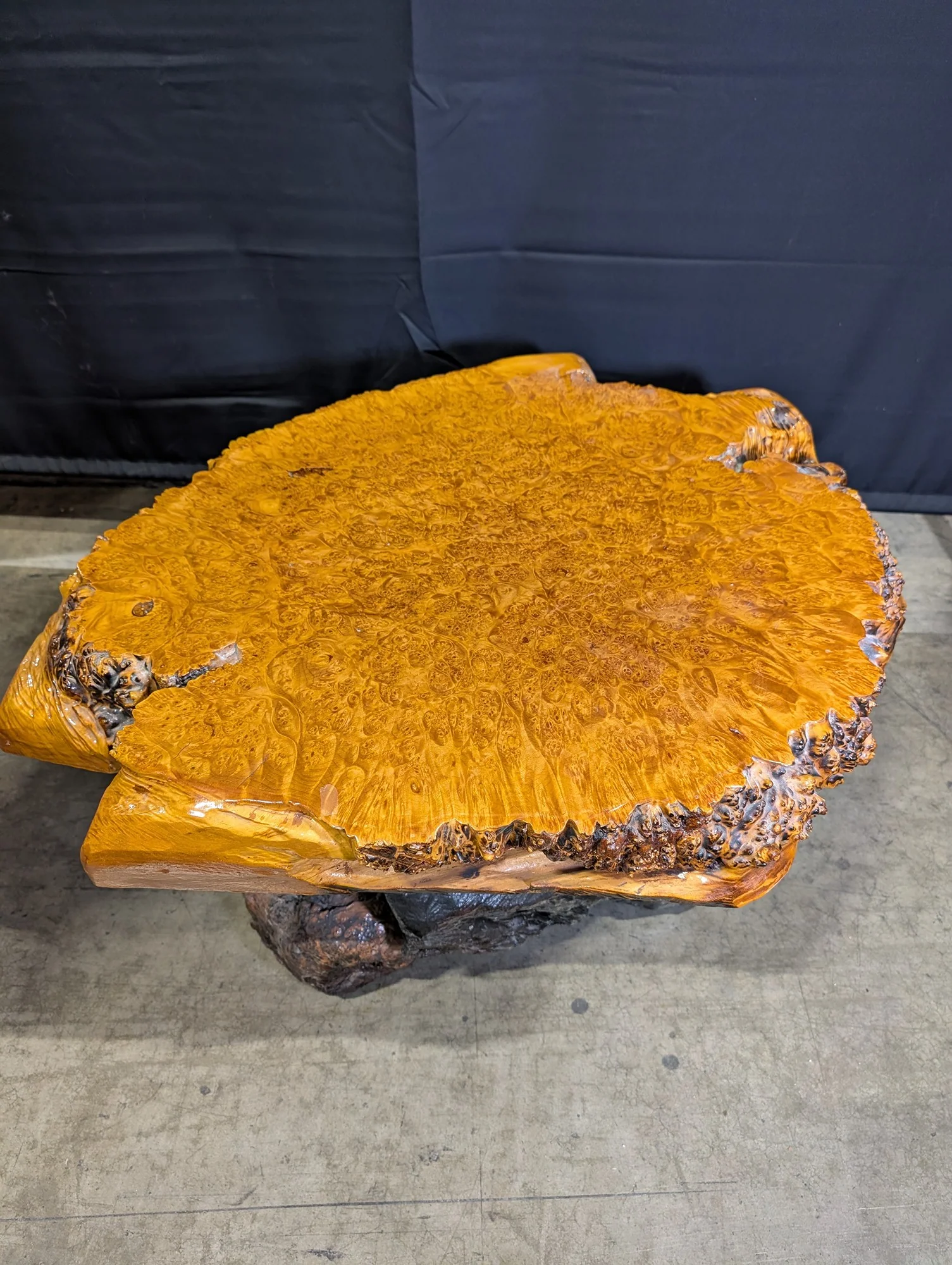Rustic Live Edge Burl Wood Slab Coffee Table - Image 5