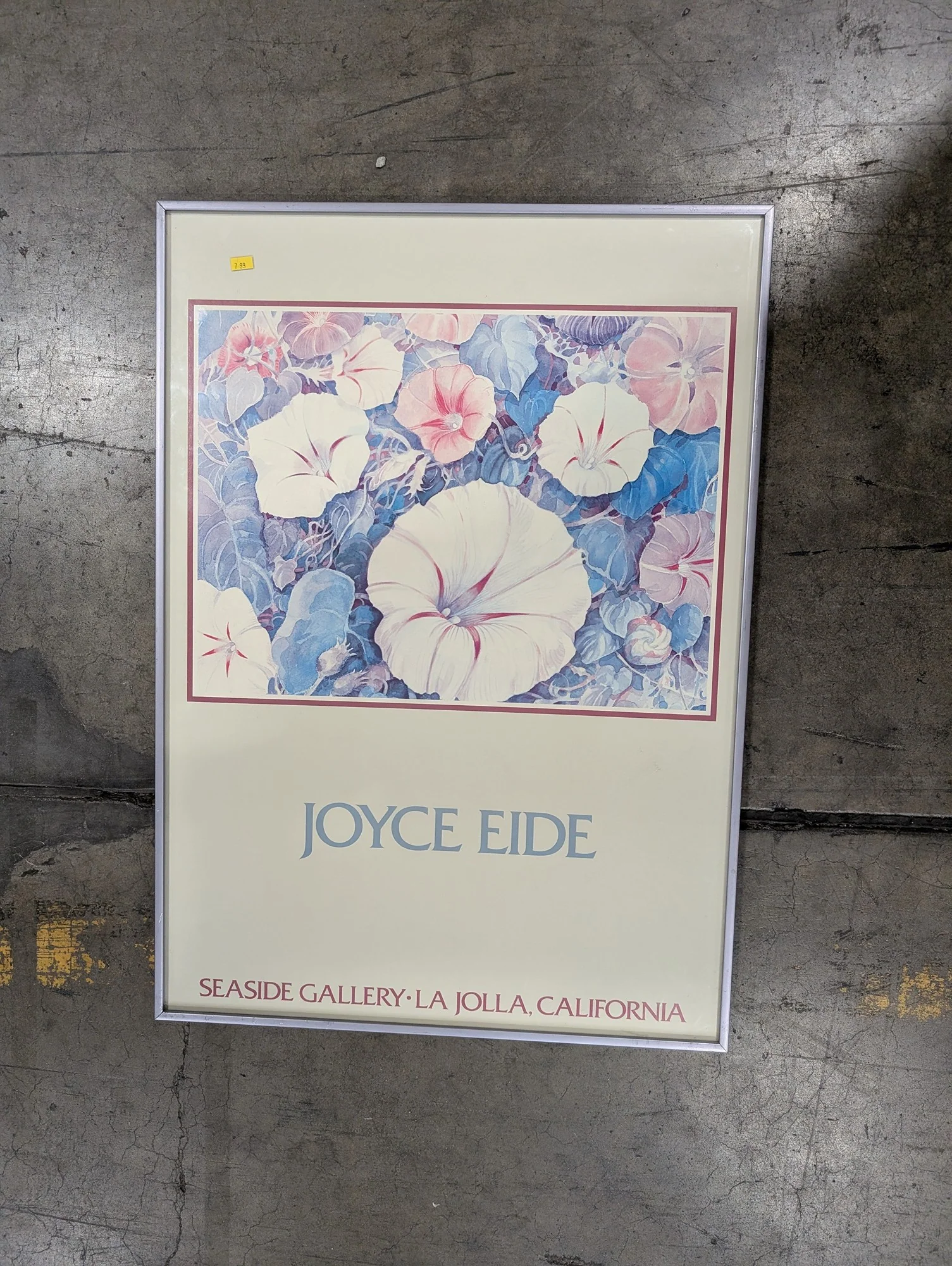 Joyce Eide Framed Botanical Morning Glory Art Print