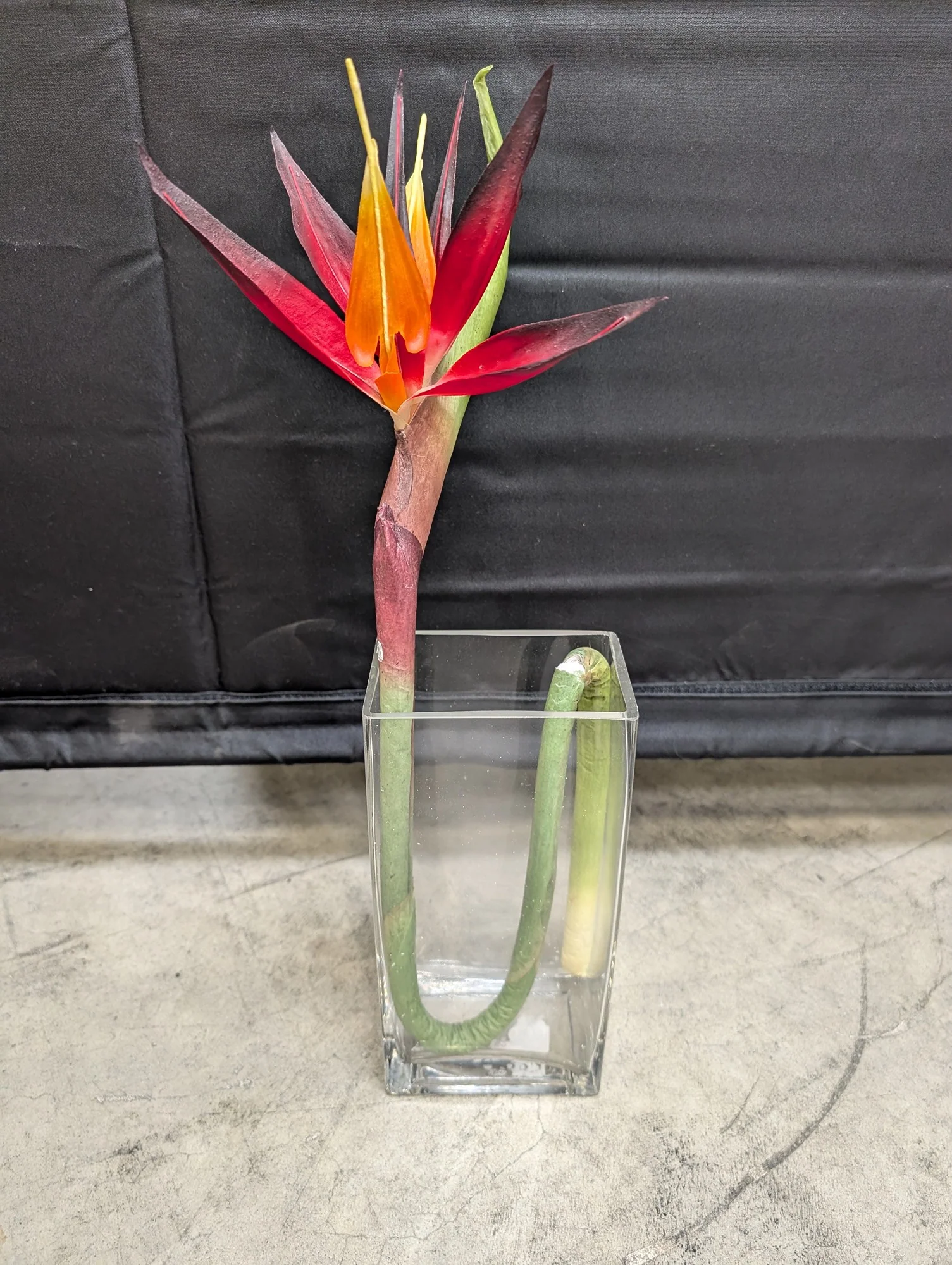 Vibrant Artificial Bird of Paradise Flower in Glass Vase