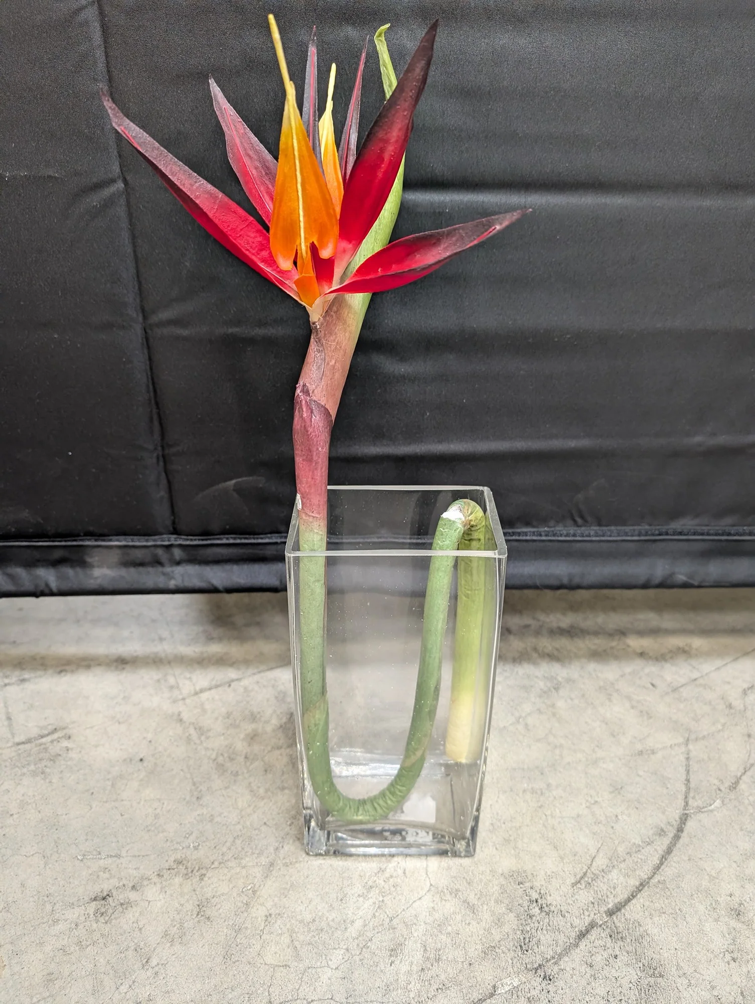 Vibrant Artificial Bird of Paradise Flower in Glass Vase - Image 2