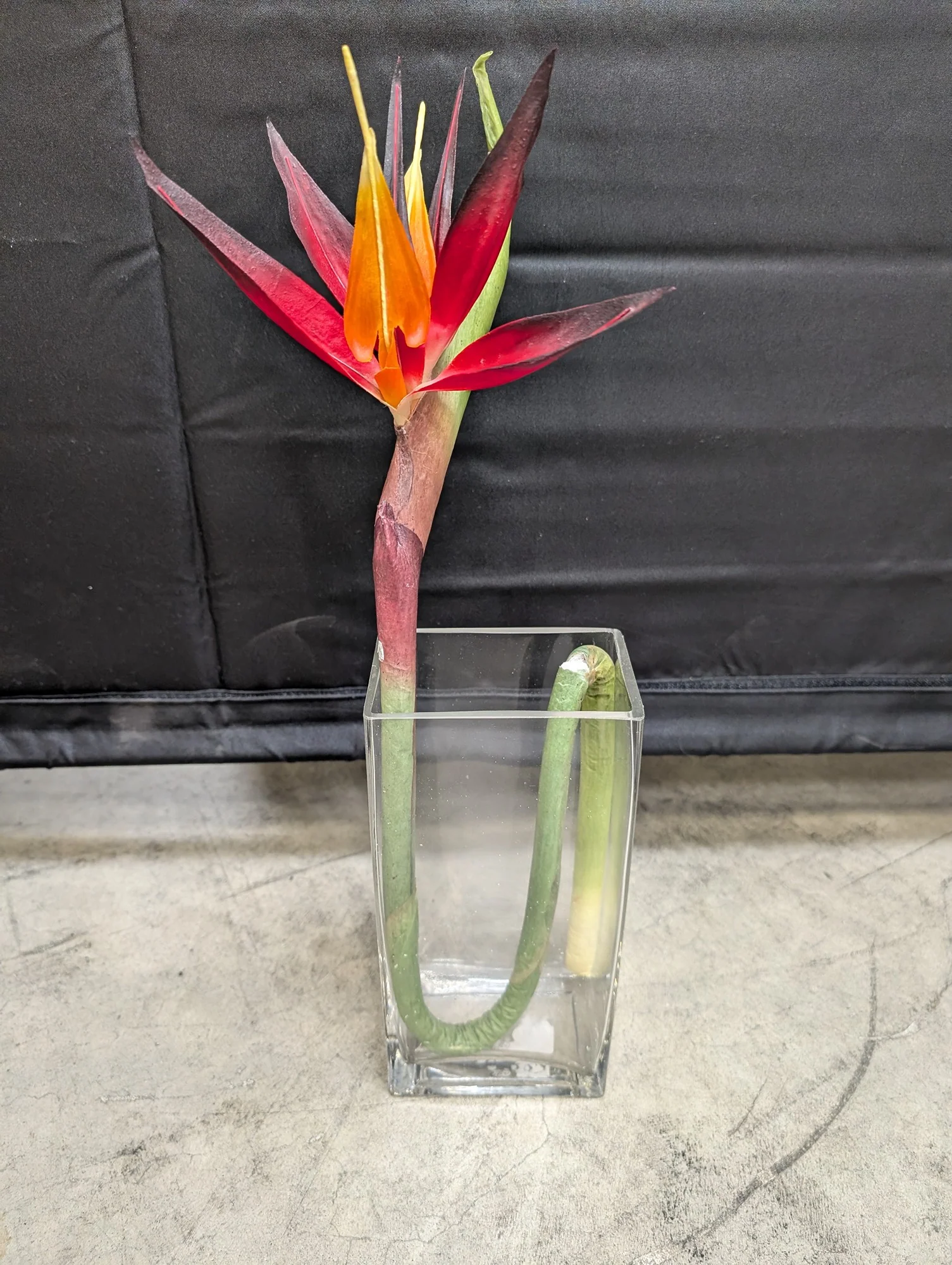 Vibrant Artificial Bird of Paradise Flower in Glass Vase - Image 3