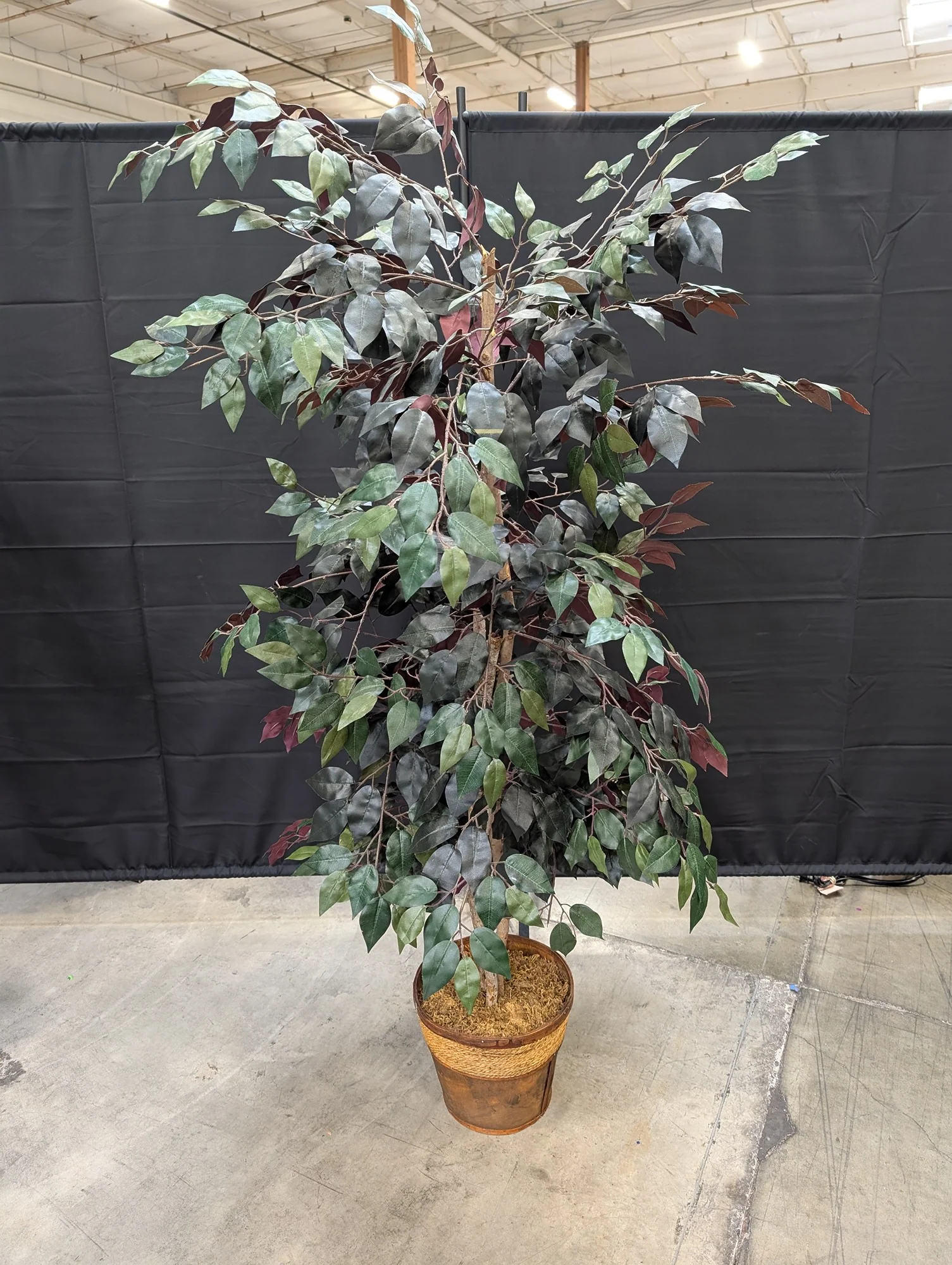 Lush Artificial Ficus Tree with Woven and Wood Planter