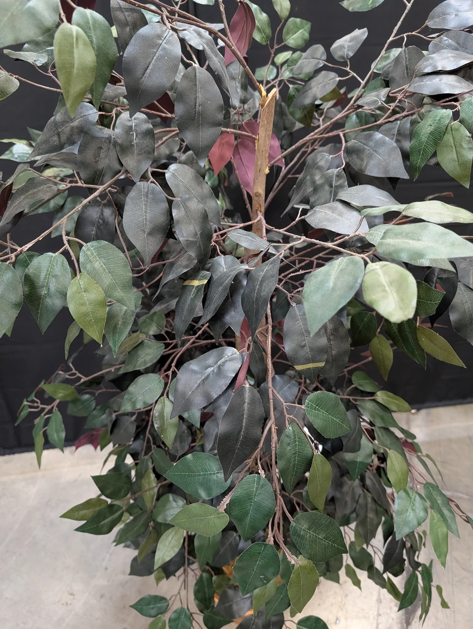 Lush Artificial Ficus Tree with Woven and Wood Planter - Image 2