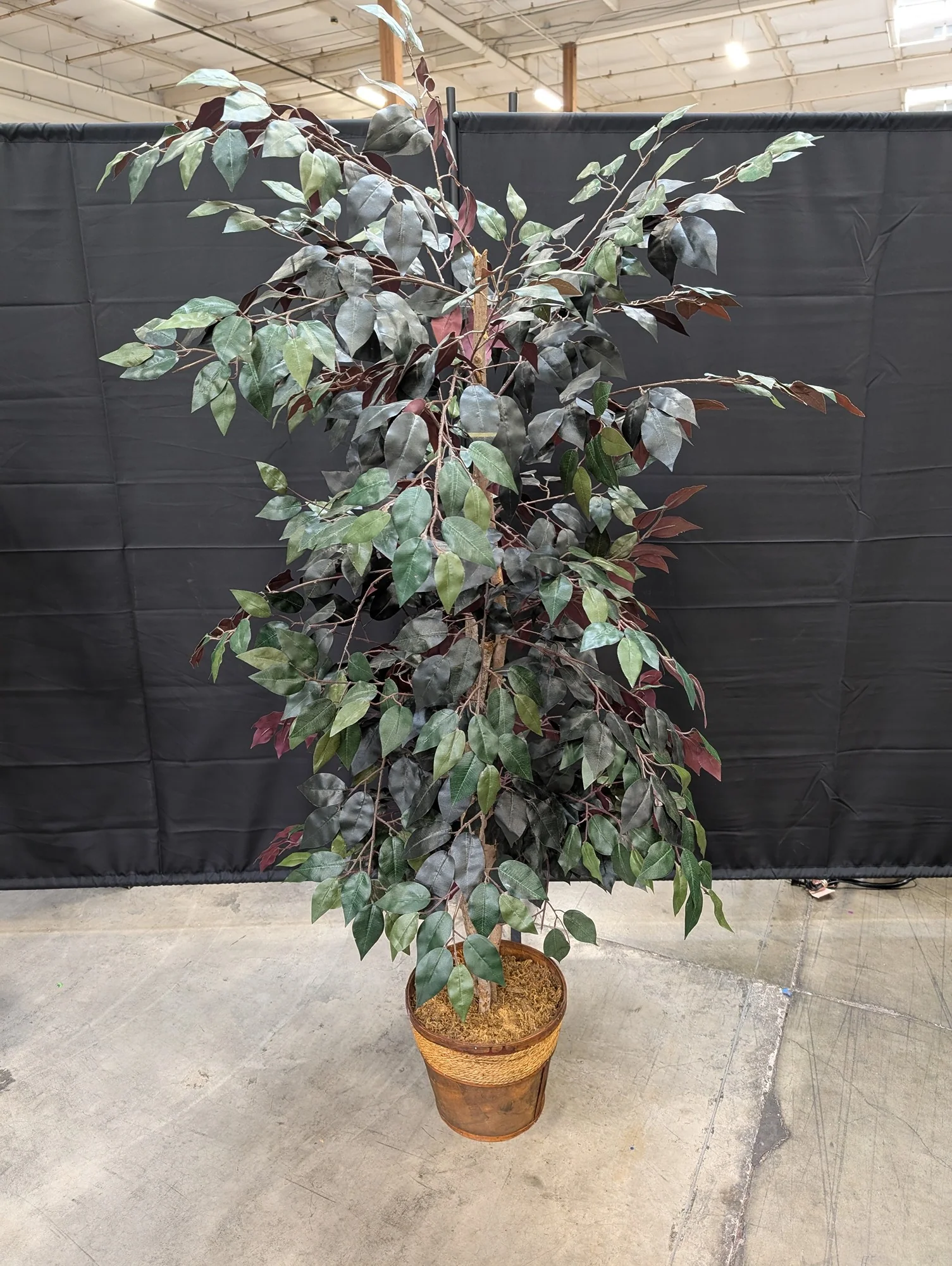 Lush Artificial Ficus Tree with Woven and Wood Planter - Image 3