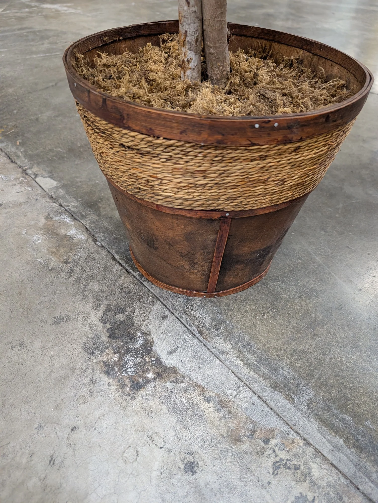 Lush Artificial Ficus Tree with Woven and Wood Planter - Image 4