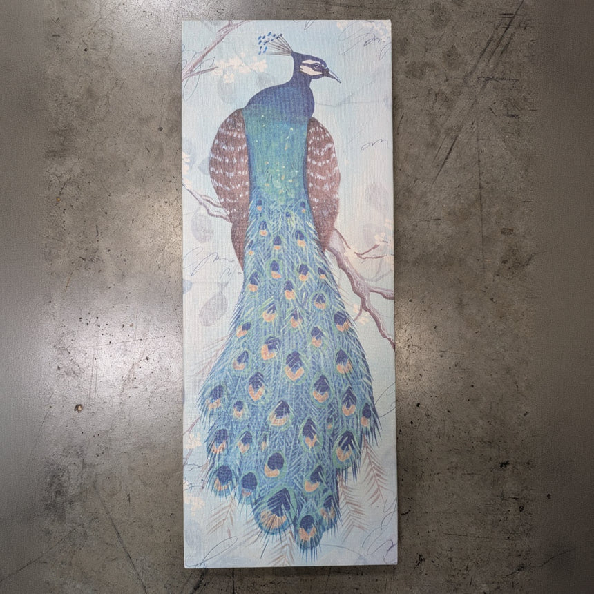 Vibrant Peacock Feather Wall Art Print