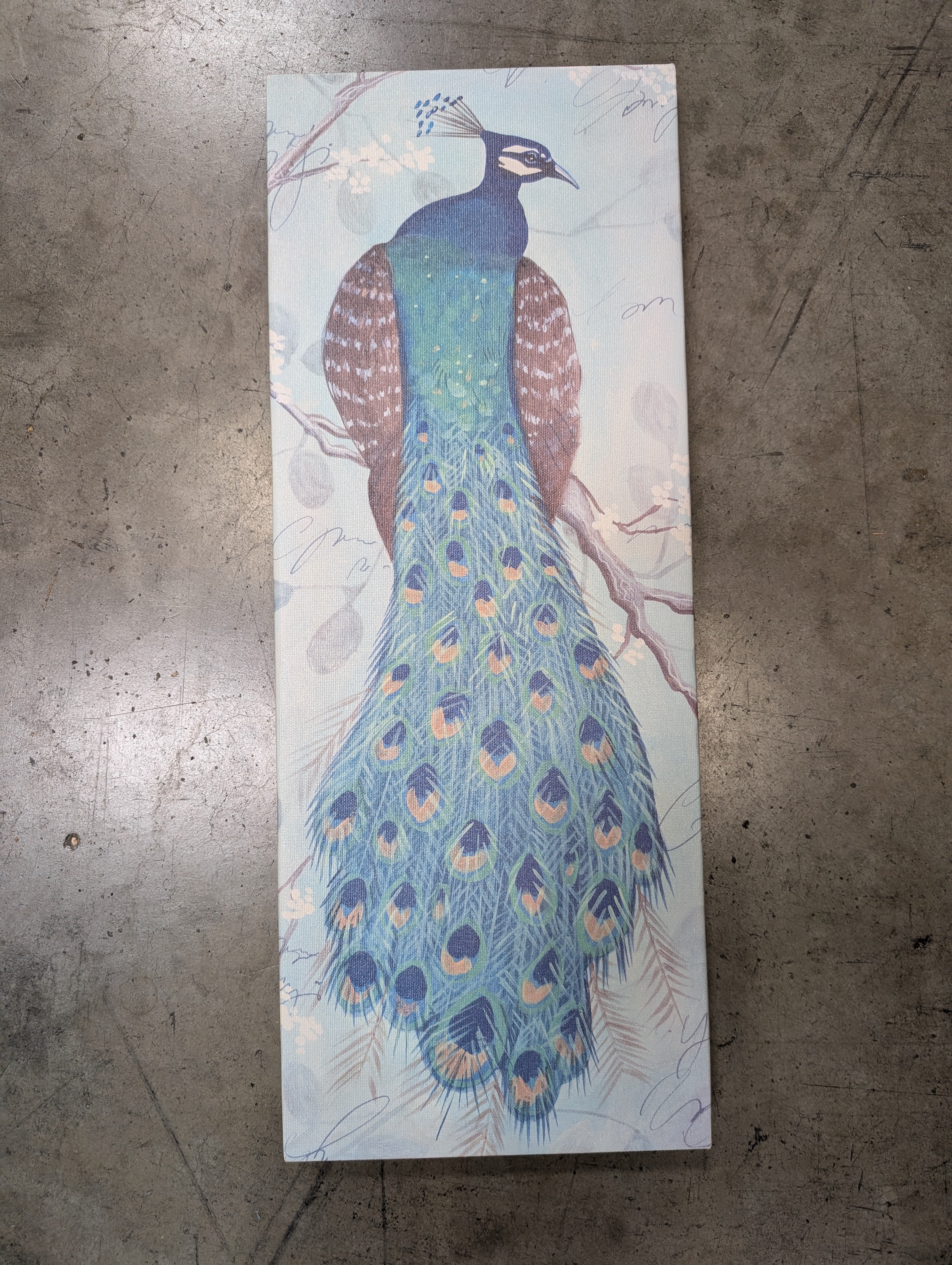 Vibrant Peacock Feather Wall Art Print - Image 2