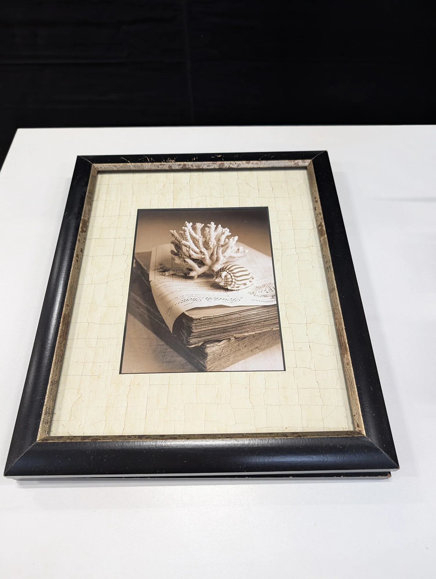 Howard Waisman Art in Motion Coastal Framed Wall Art - Image 3