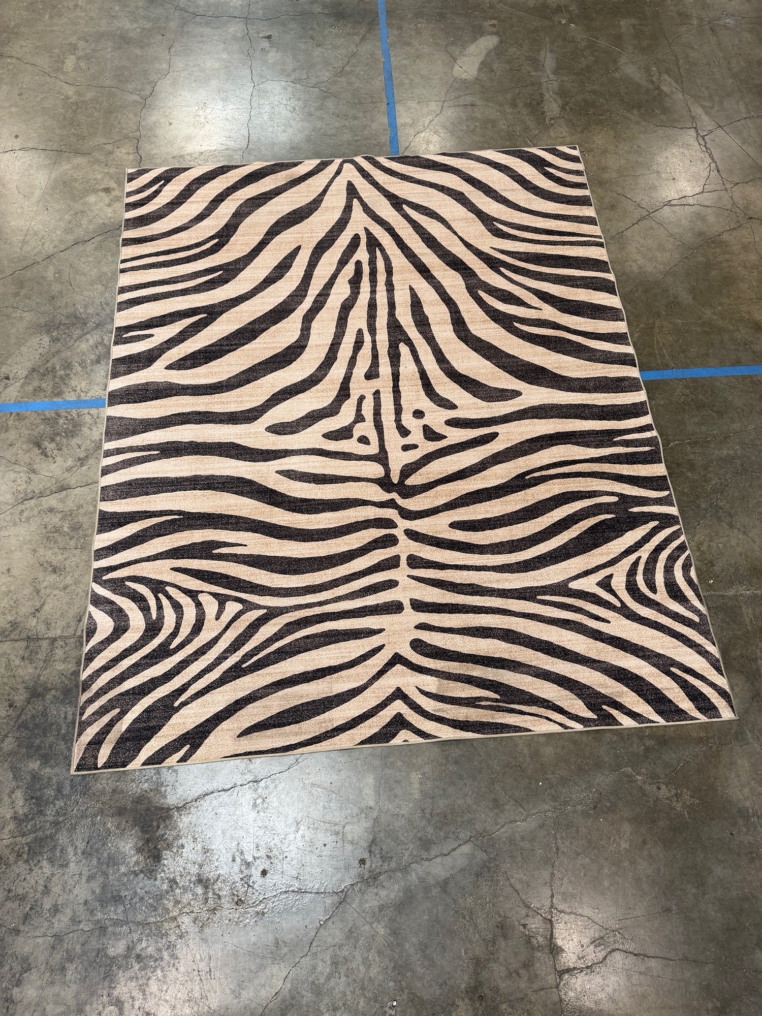 Bold Contemporary Zebra Print Area Rug - 8' x 10'
