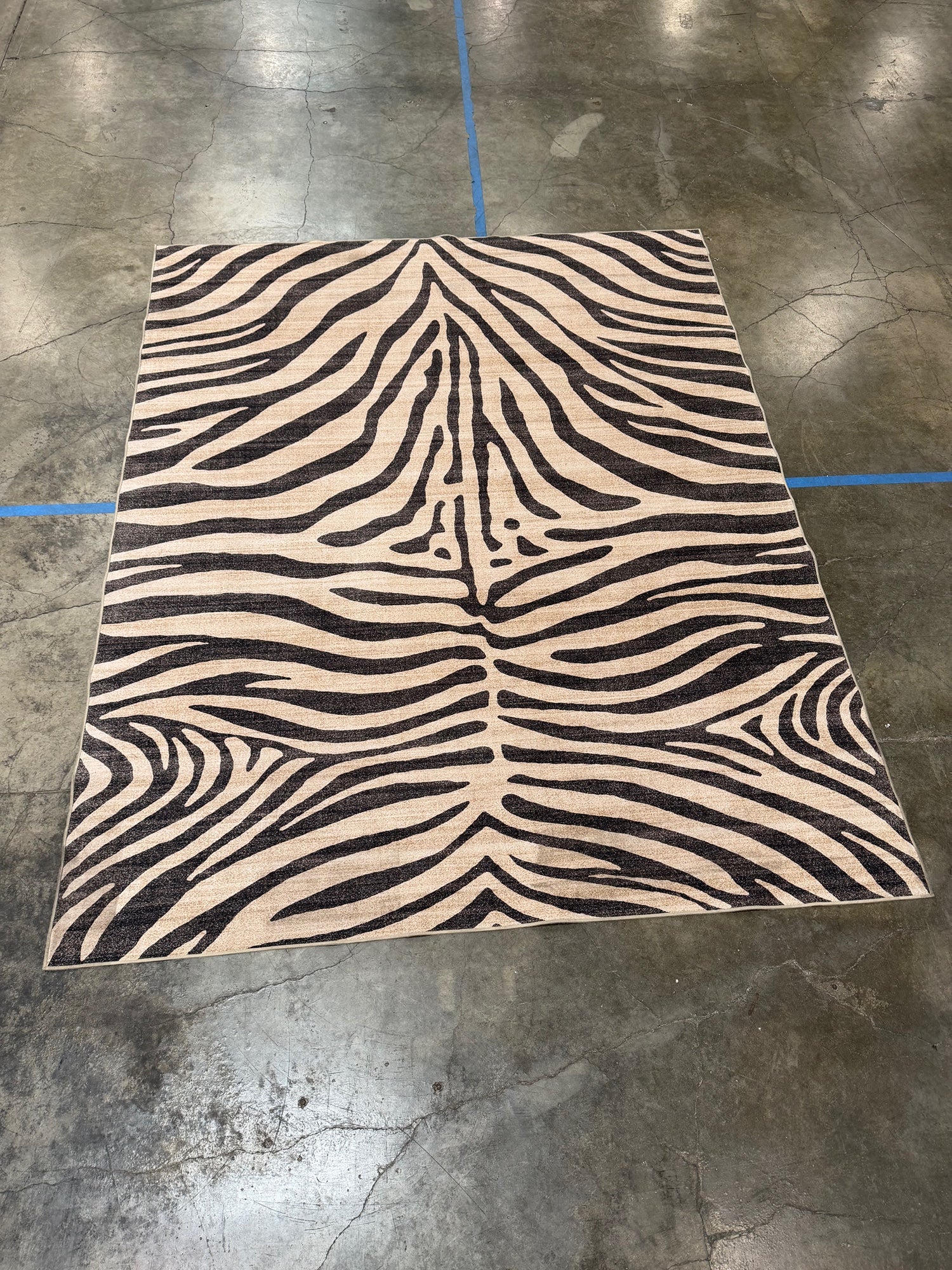 Bold Contemporary Zebra Print Area Rug - 8' x 10' - Image 2