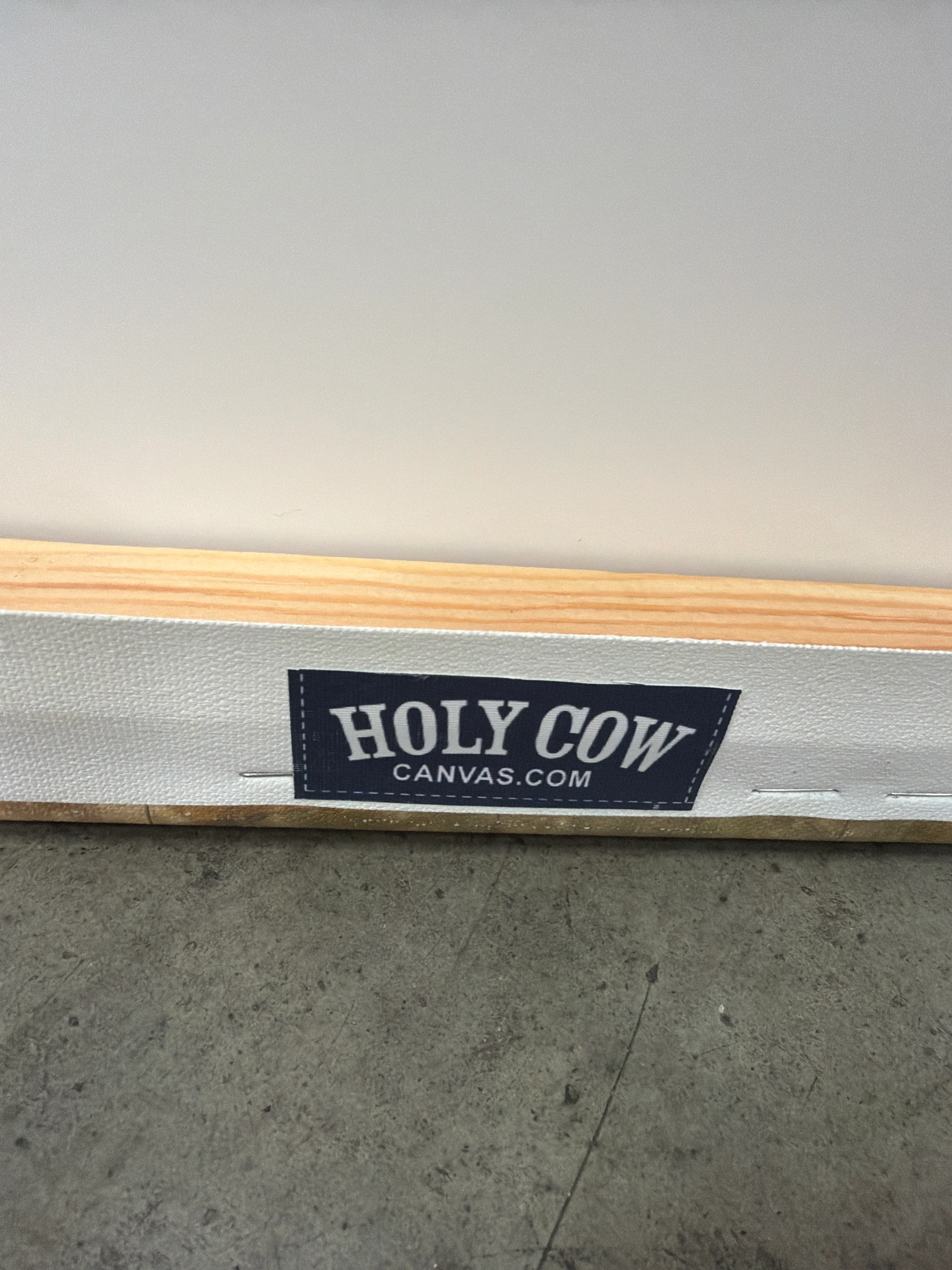 Holy Cow Vintage-Style Large World Map Push Pin Canvas Wall Art - Image 5