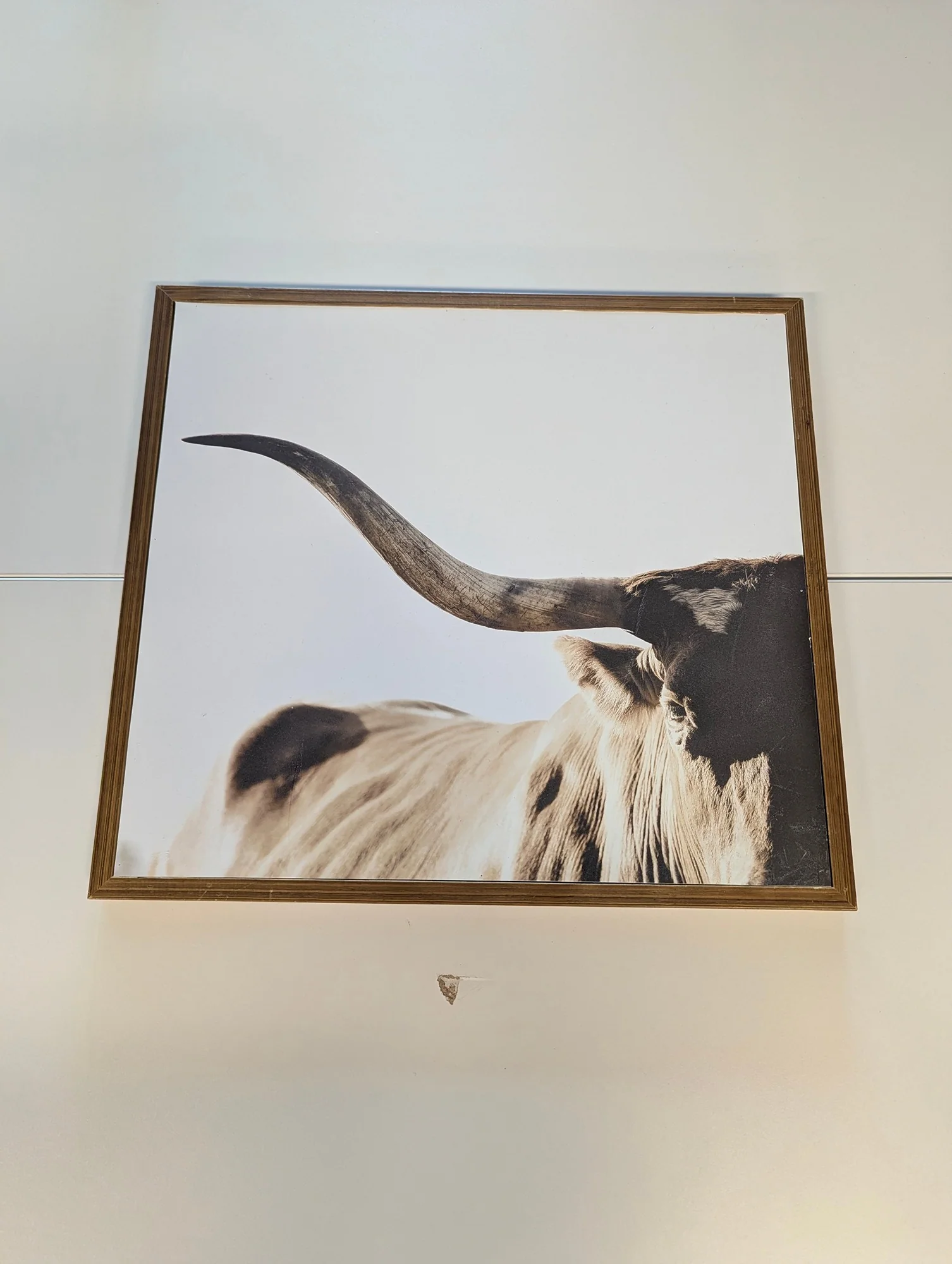 Framed Longhorn Steer Wall Art Print Rustic Farmhouse Decor