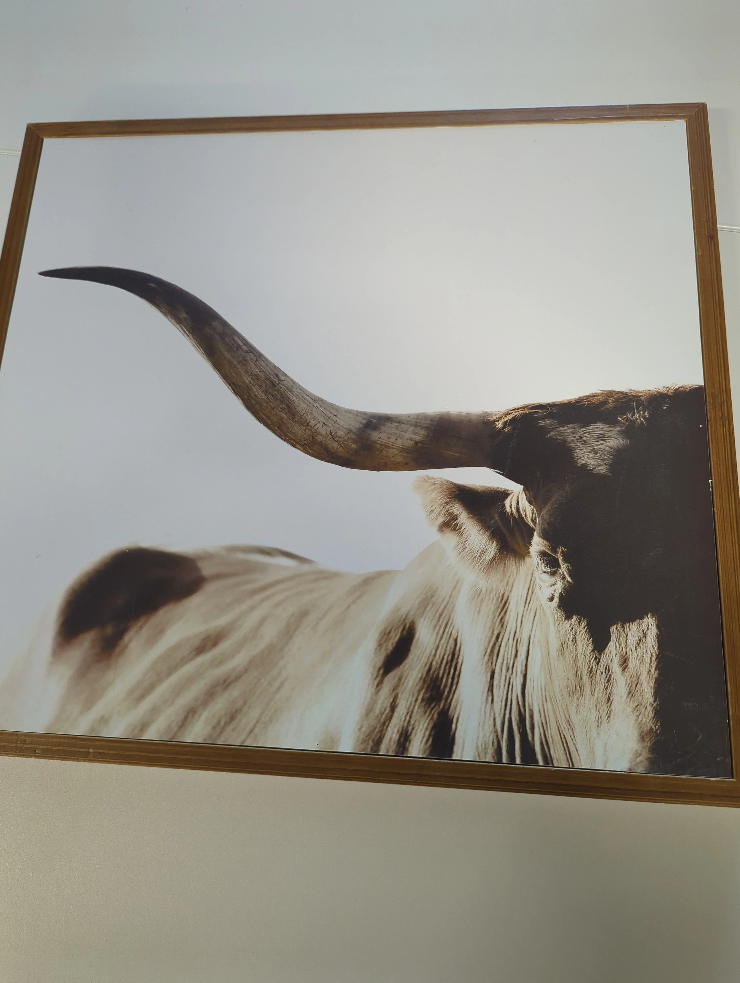 Framed Longhorn Steer Wall Art Print Rustic Farmhouse Decor - Image 2