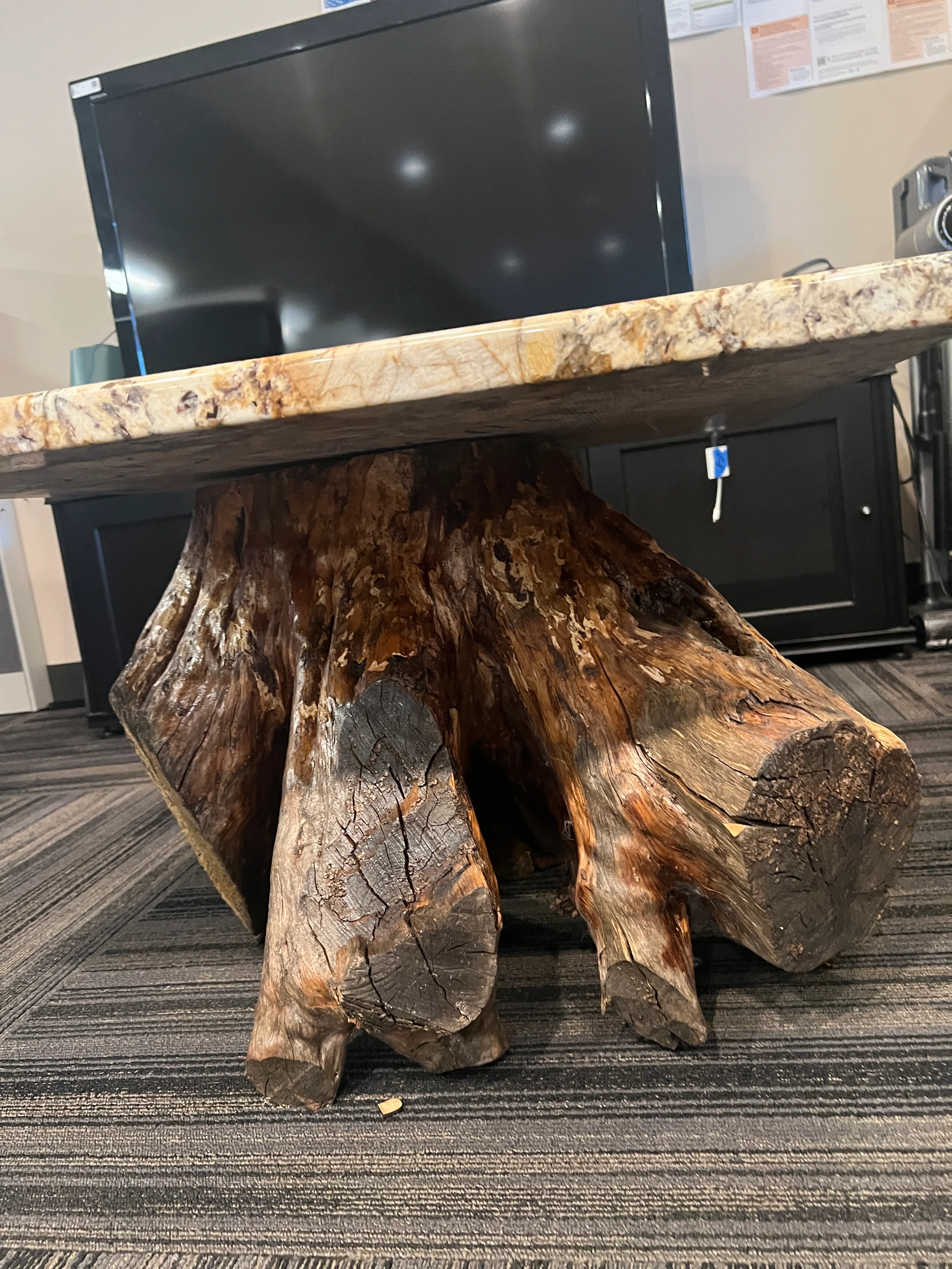Tree Base Coffee Table w/ Granite Top - Image 6